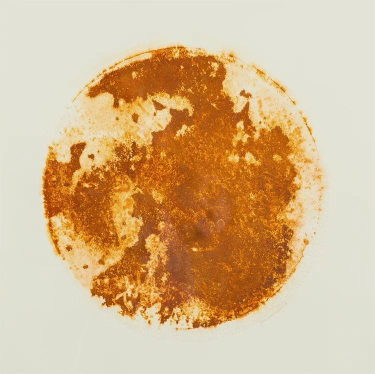 Circle 1.webp