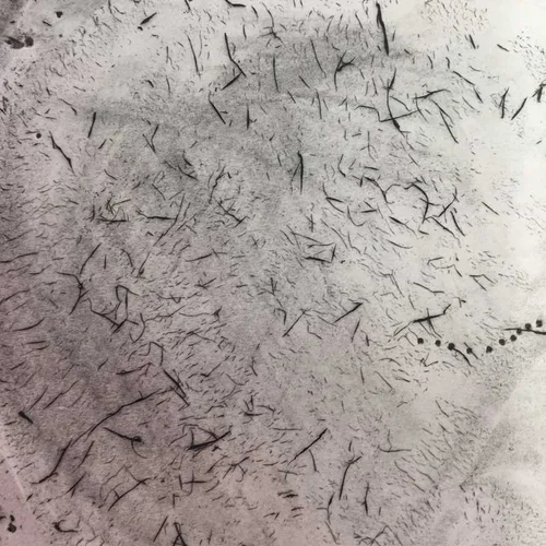 Detritus 2015.webp