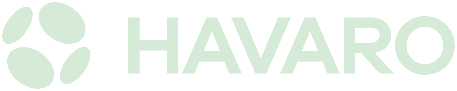 Havaro - Everything Heat Networks