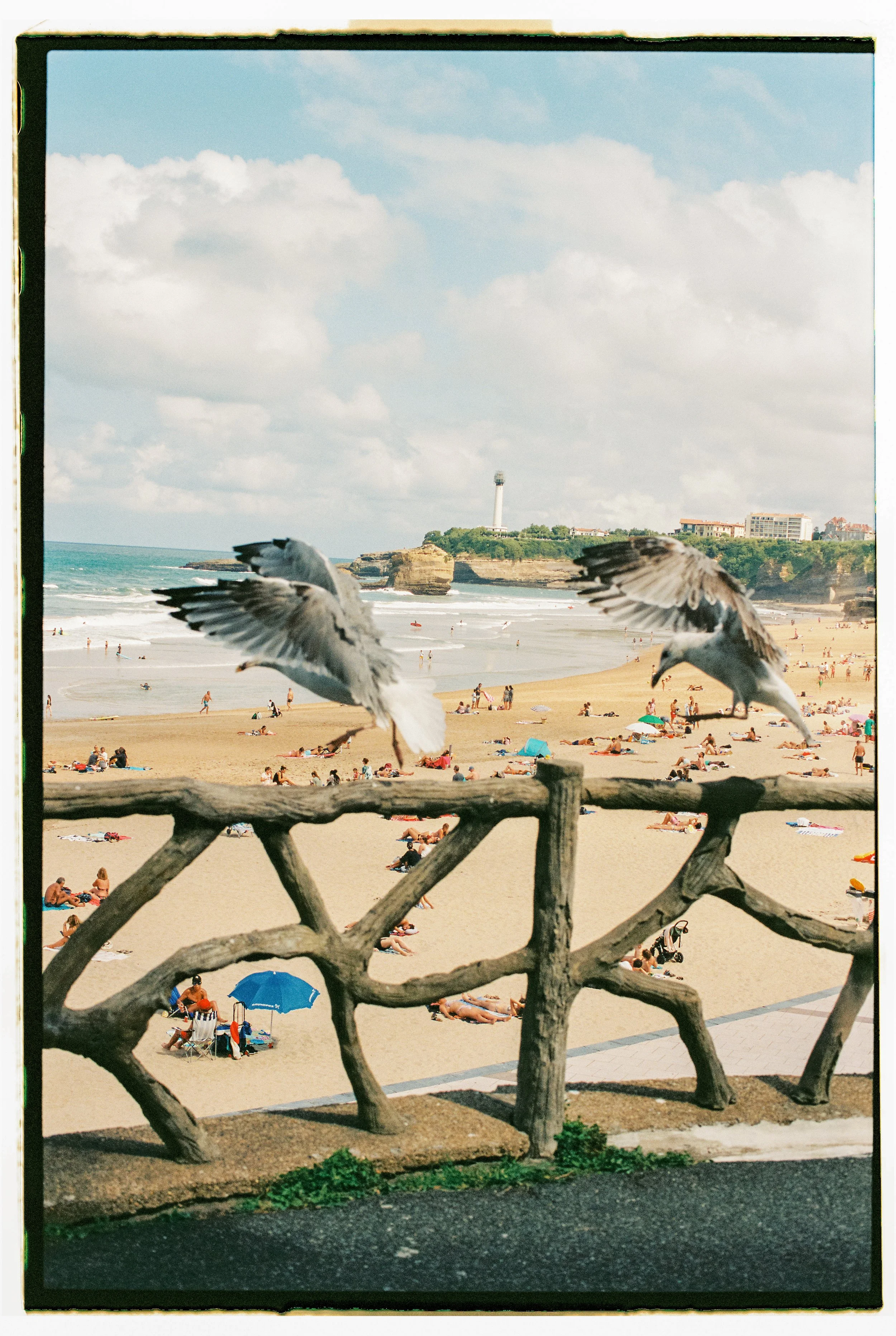 Jason Campbell-22.jpg