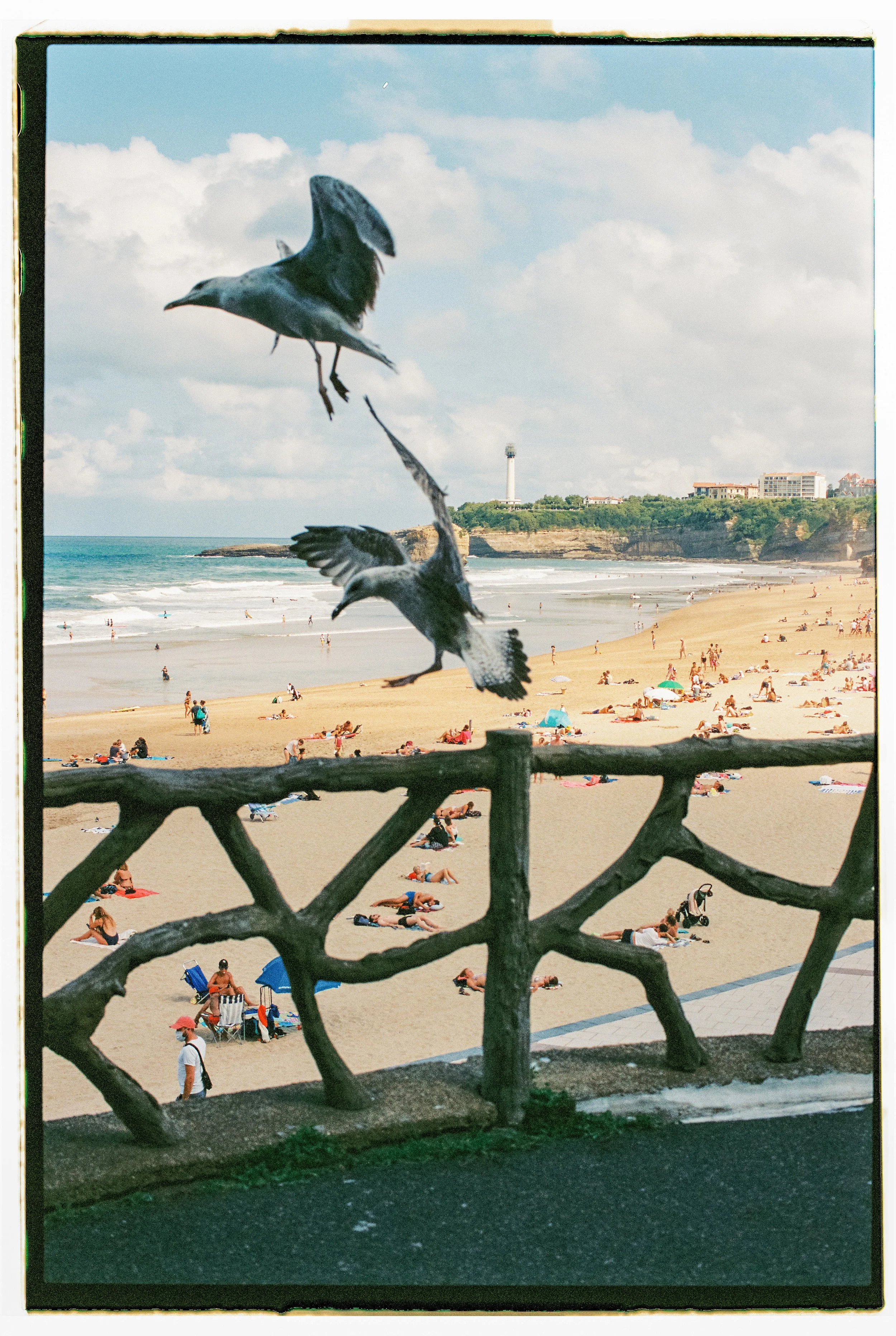 Jason Campbell-23.jpg