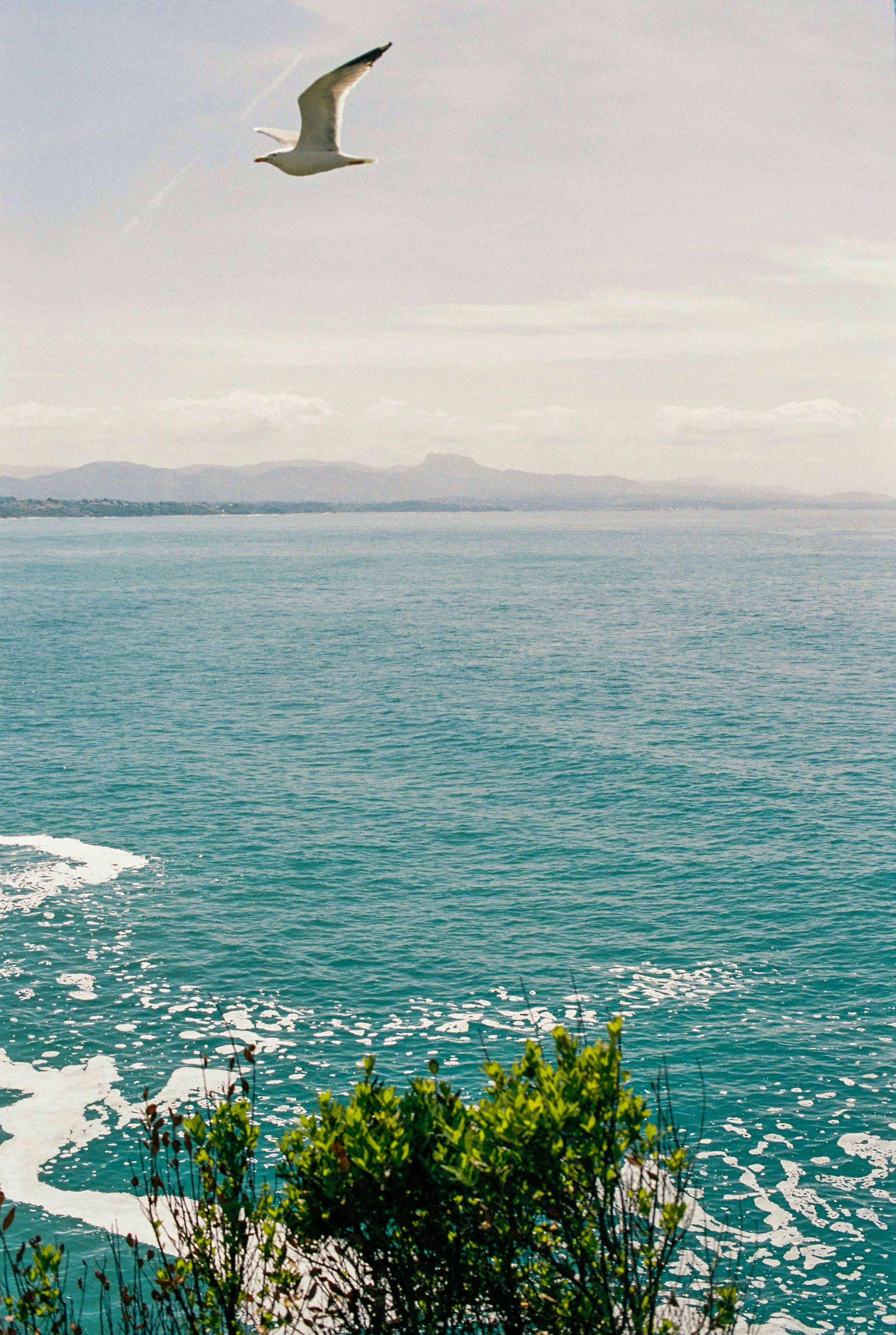 Jason Campbell-141.jpg