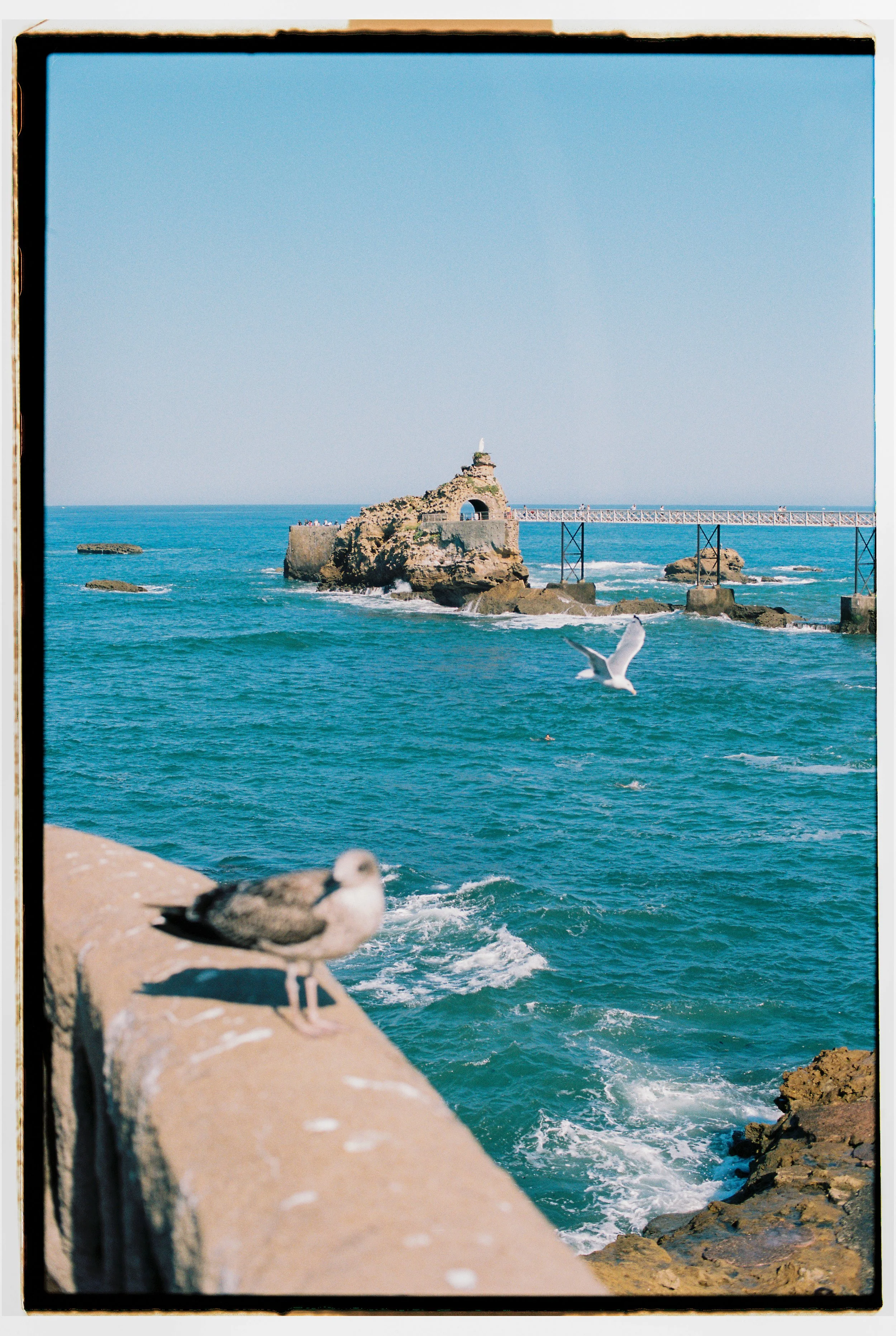 Jason Campbell-287.jpg