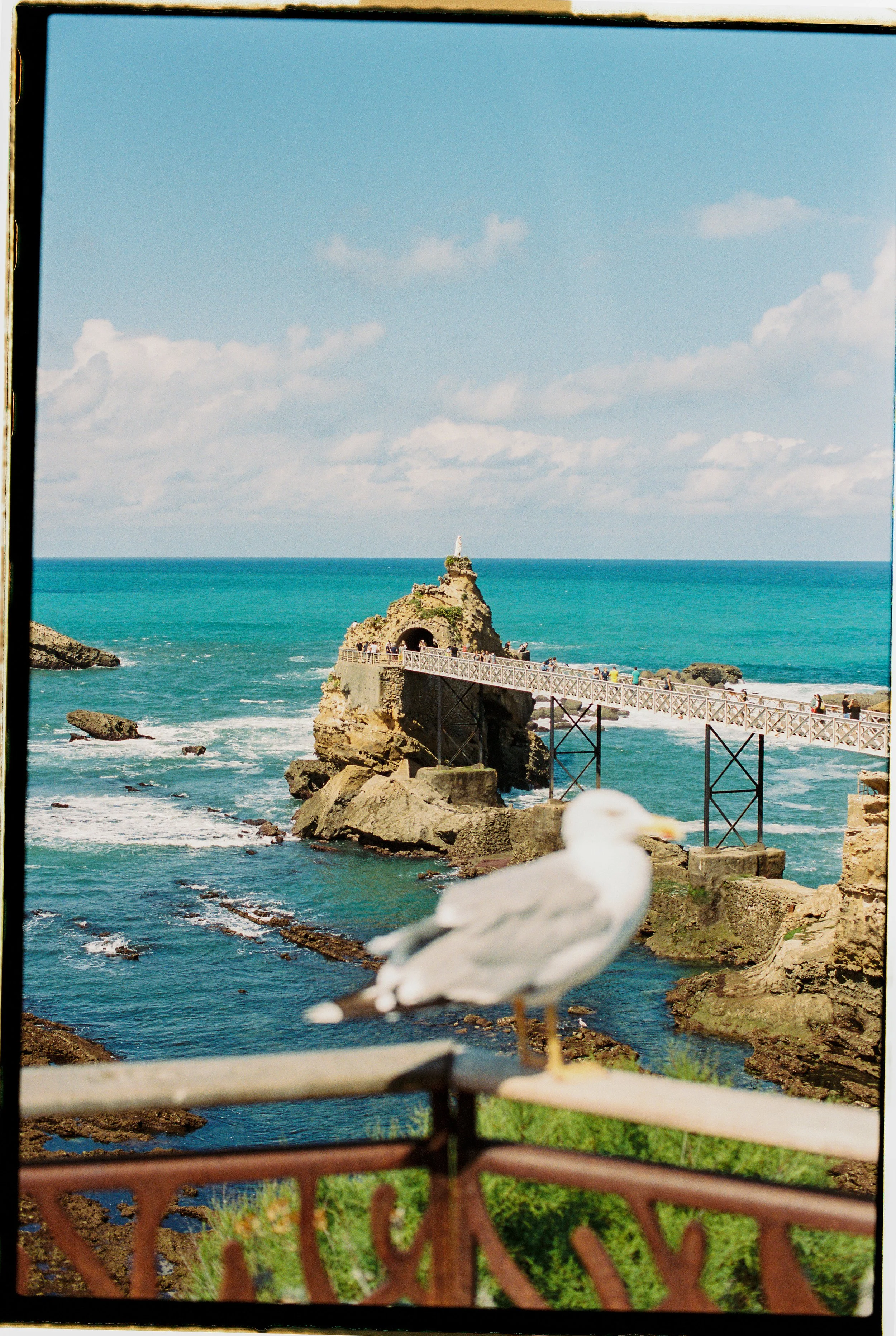 Jason Campbell-33.jpg