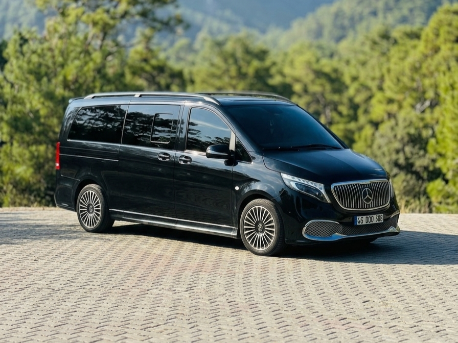 A black Mercedes-Benz van parked on a paved road with greenery and trees in the background.