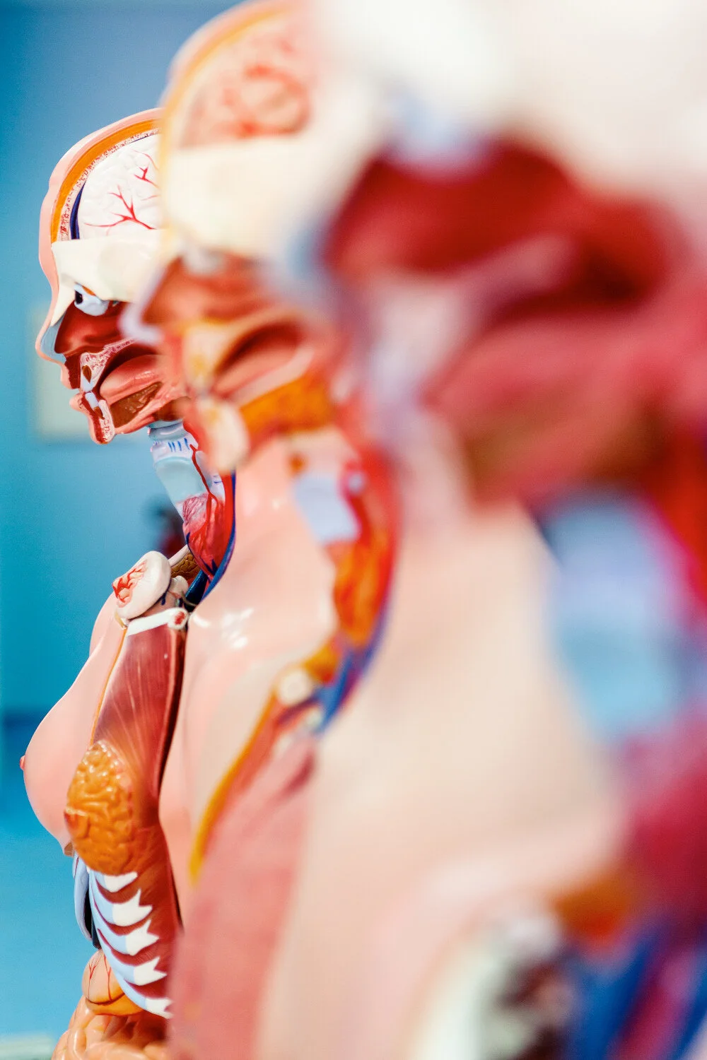 Foto_RaphaelZubler_Todos_Clinic_02.jpg