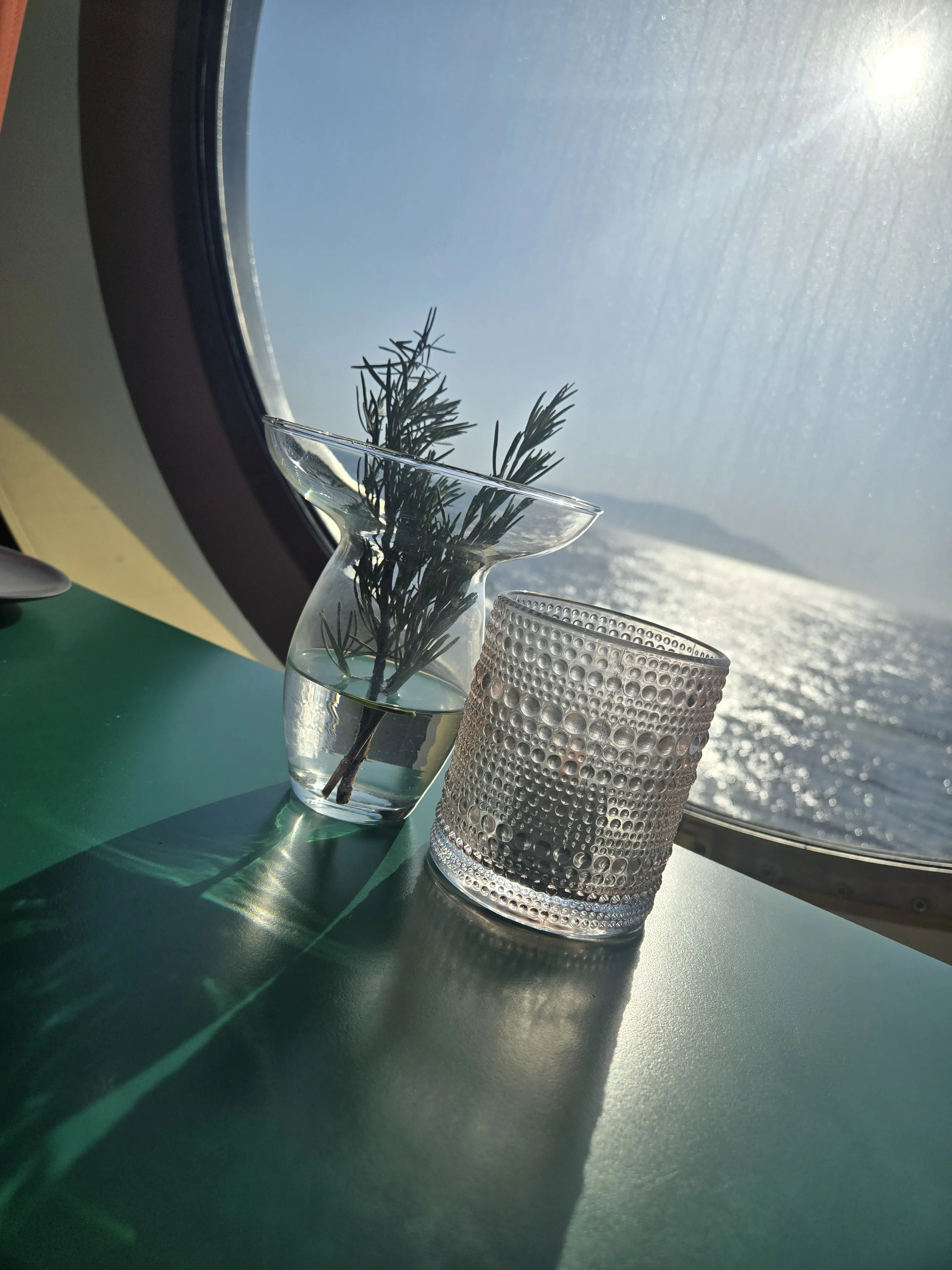 A sprig of rosemary in a small glass bottle of water and a textured glass candle holder on a green surface near an airplane window with ocean view.