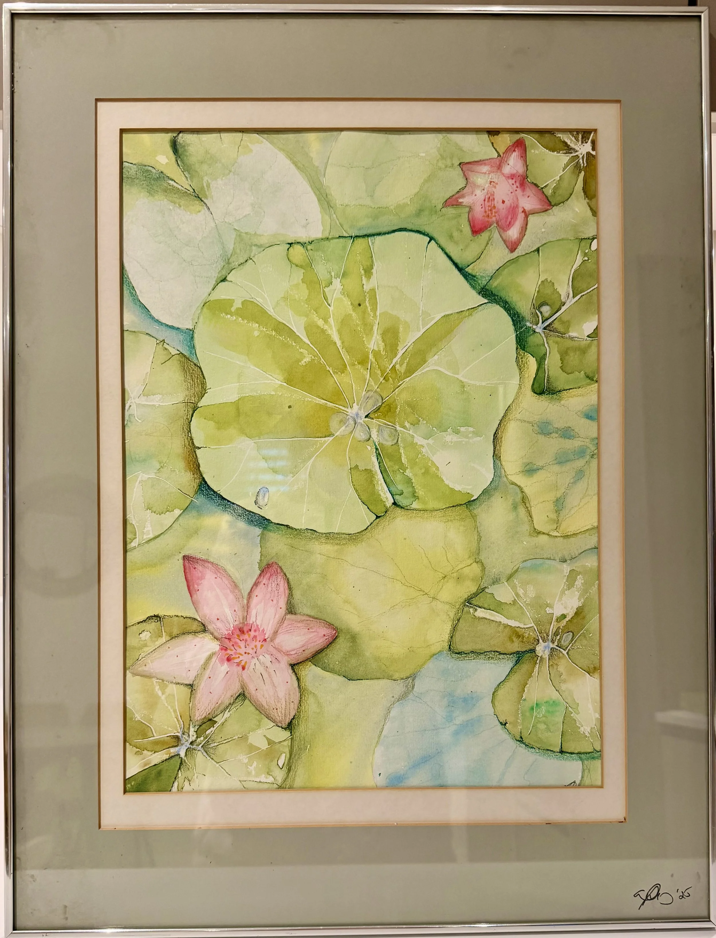 Lily Pads