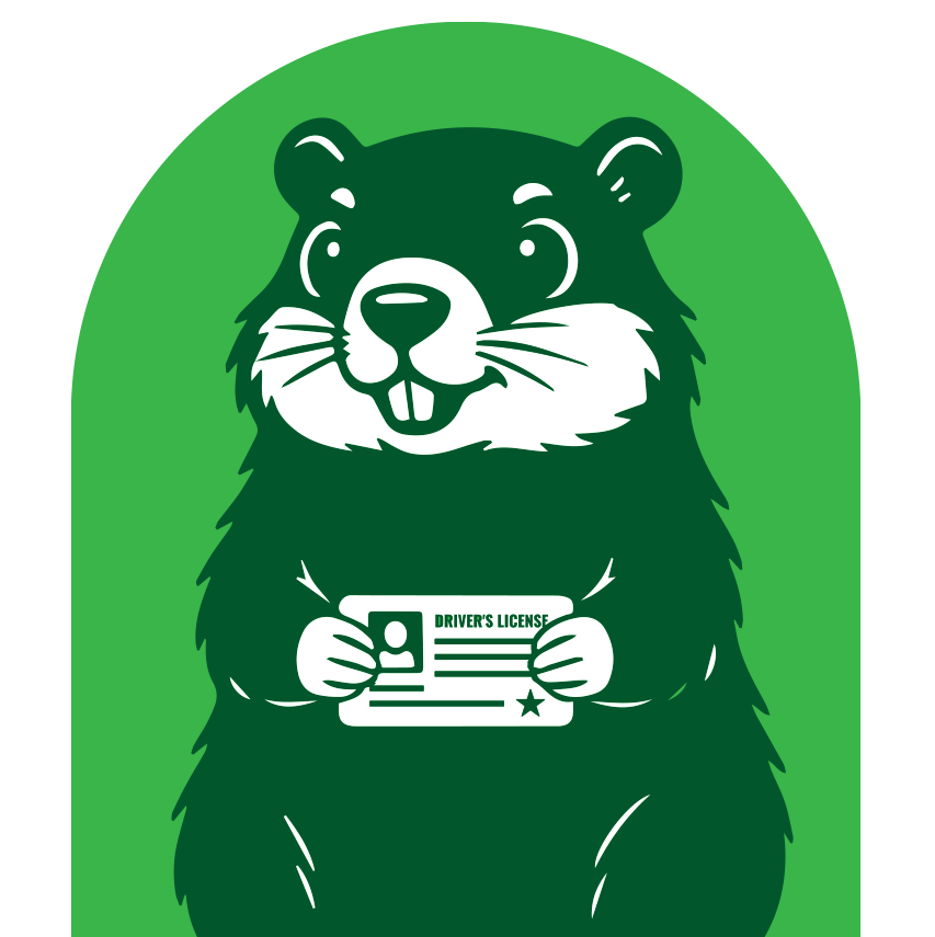 Cartoon groundhog holding a U.S. driver's license with a green background.