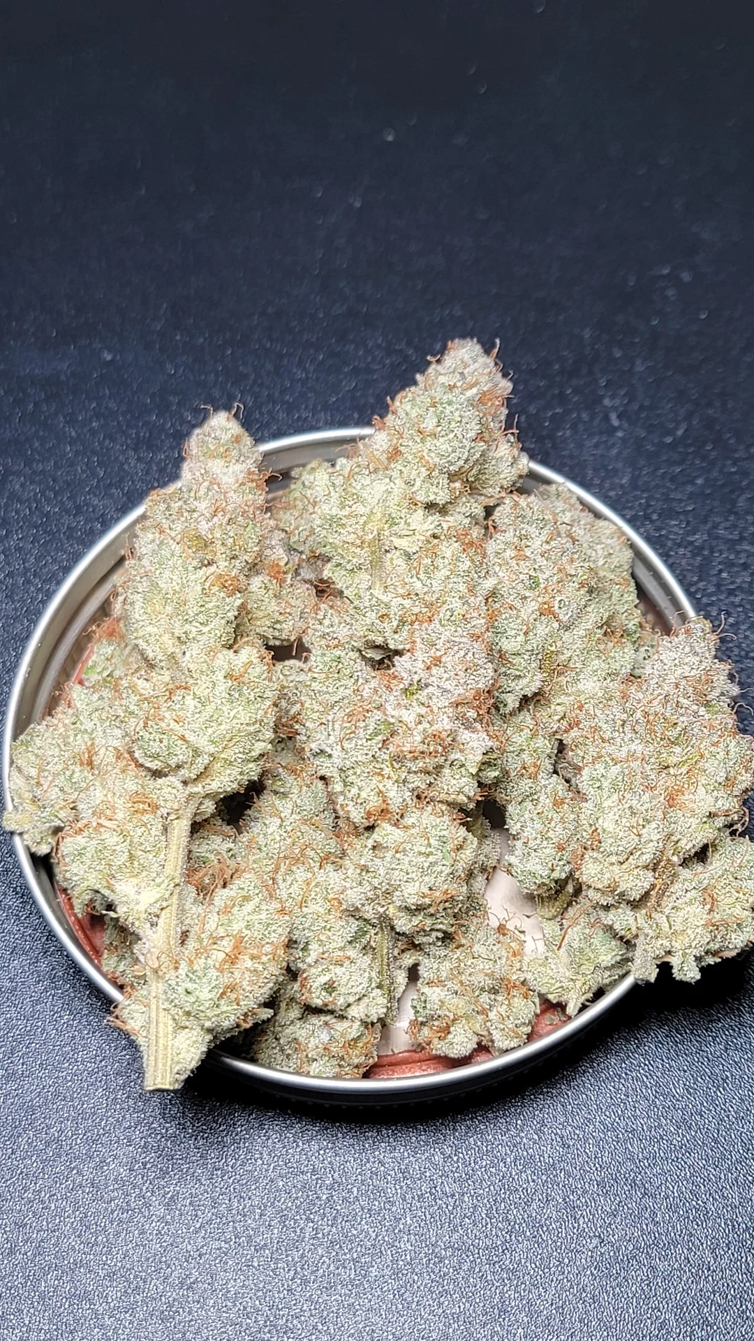 Blue Strawberries Feminized Seeds | VibeZero Genetics | Blue Power | Strawberry Gary Feminized Seeds |