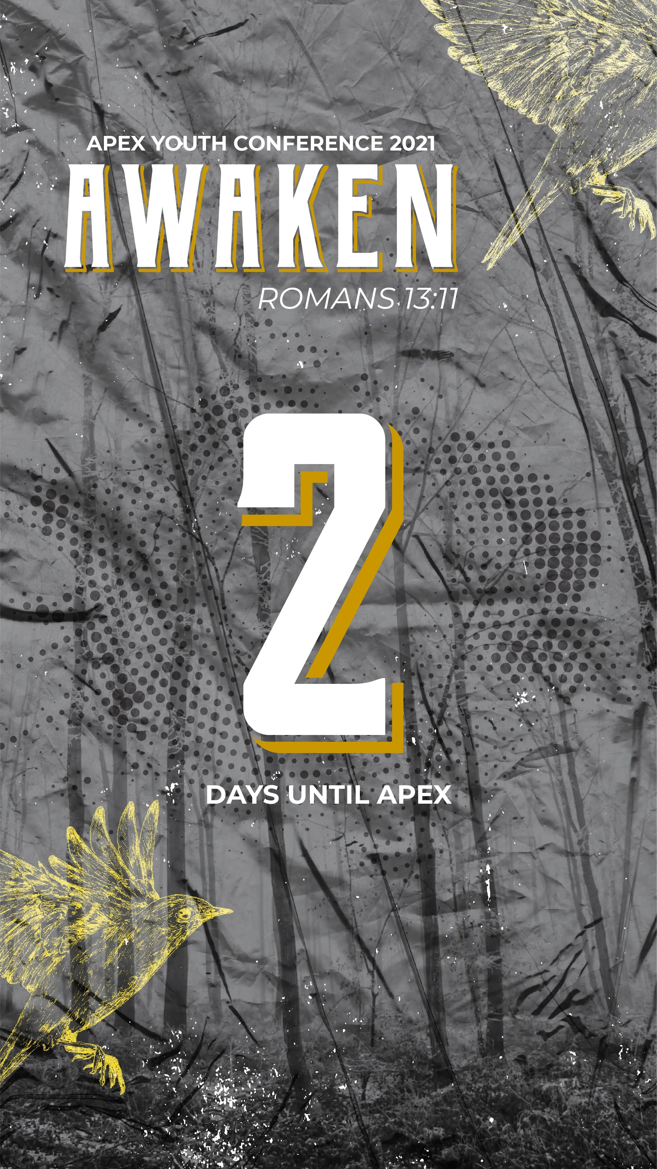 APEX-2-Days-02.jpg