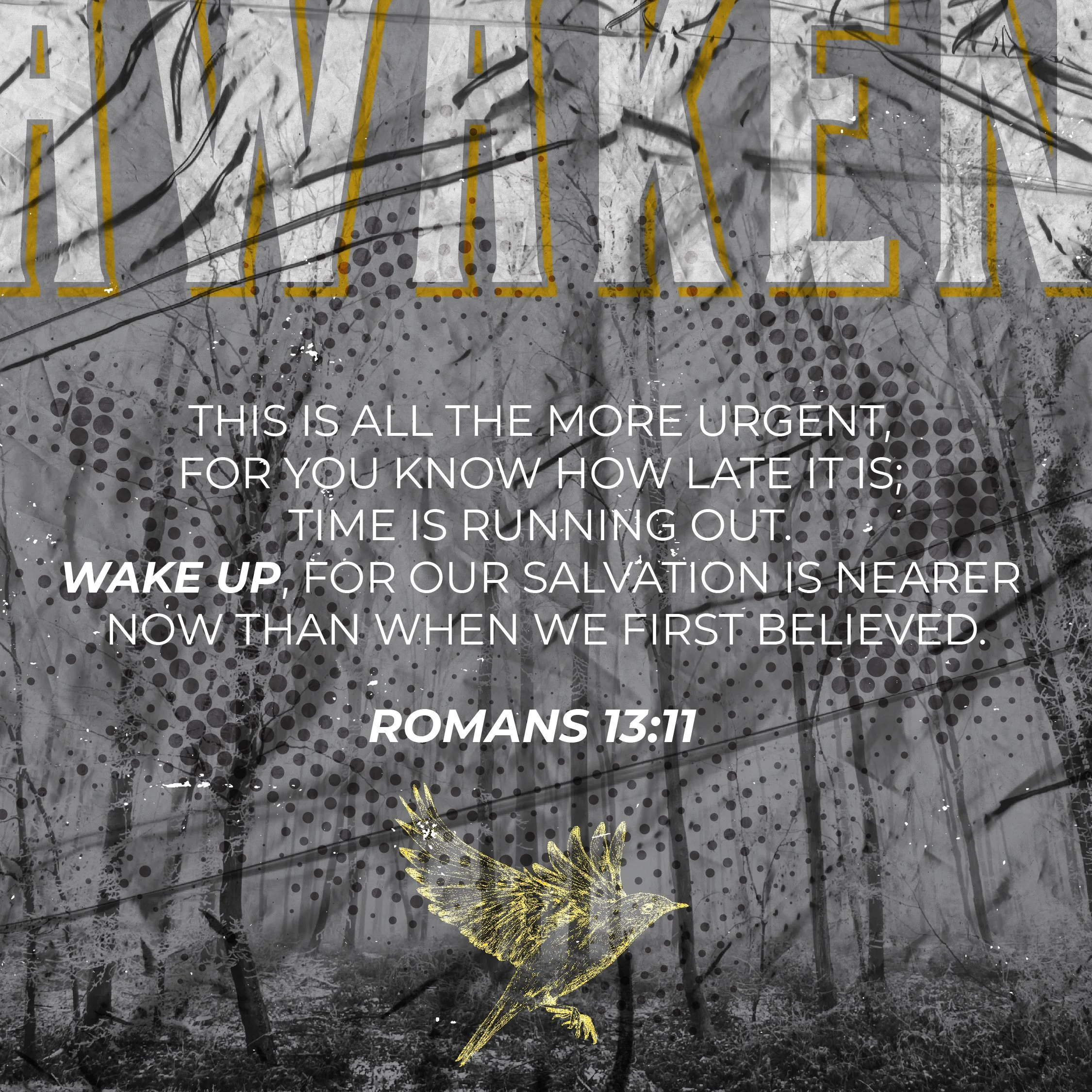 APEX-21-Verse-01.jpg