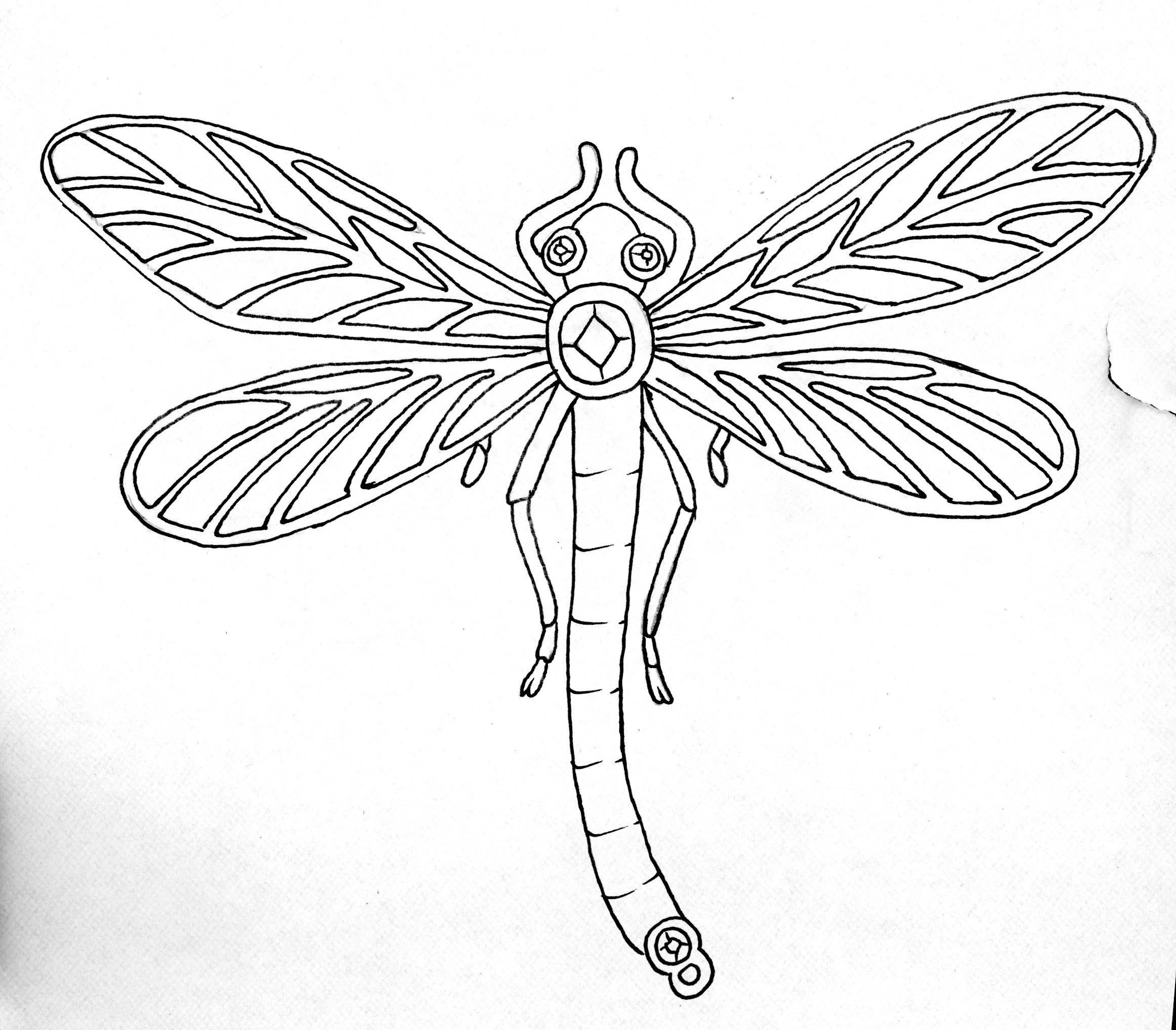 Black and white line drawing of a dragonfly with detailed wings and a segmented body.