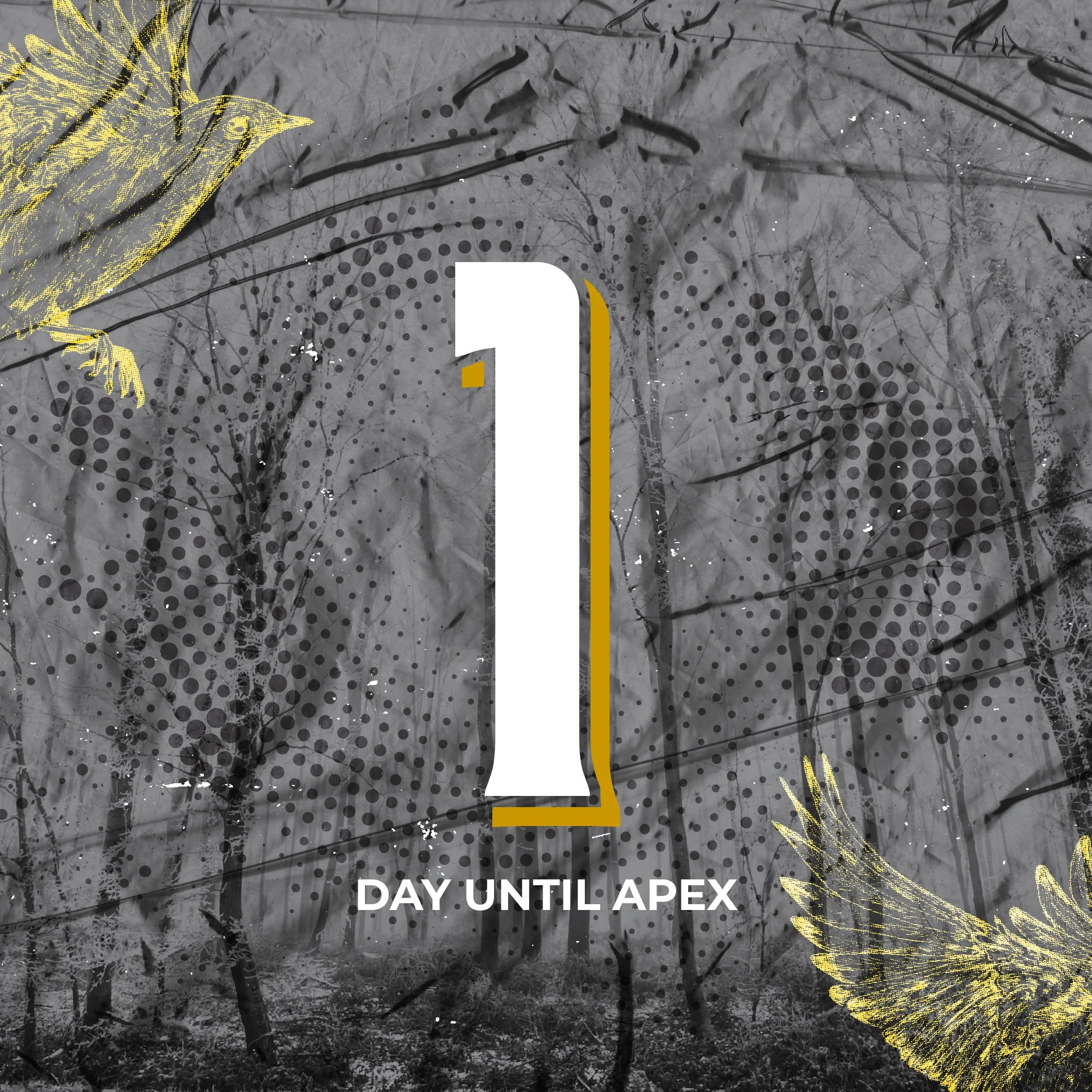 APEX-1-Days-01.jpg