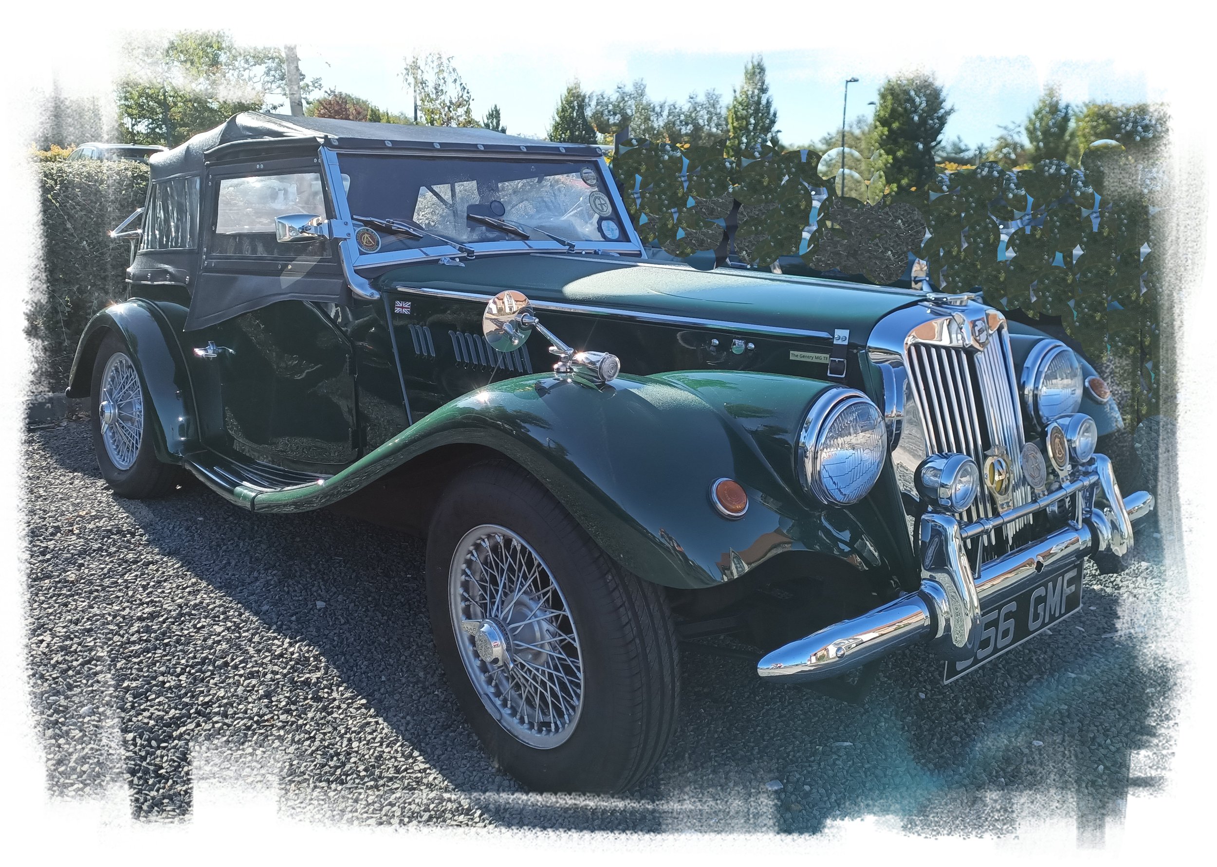 Best Car selected by the hotel staff