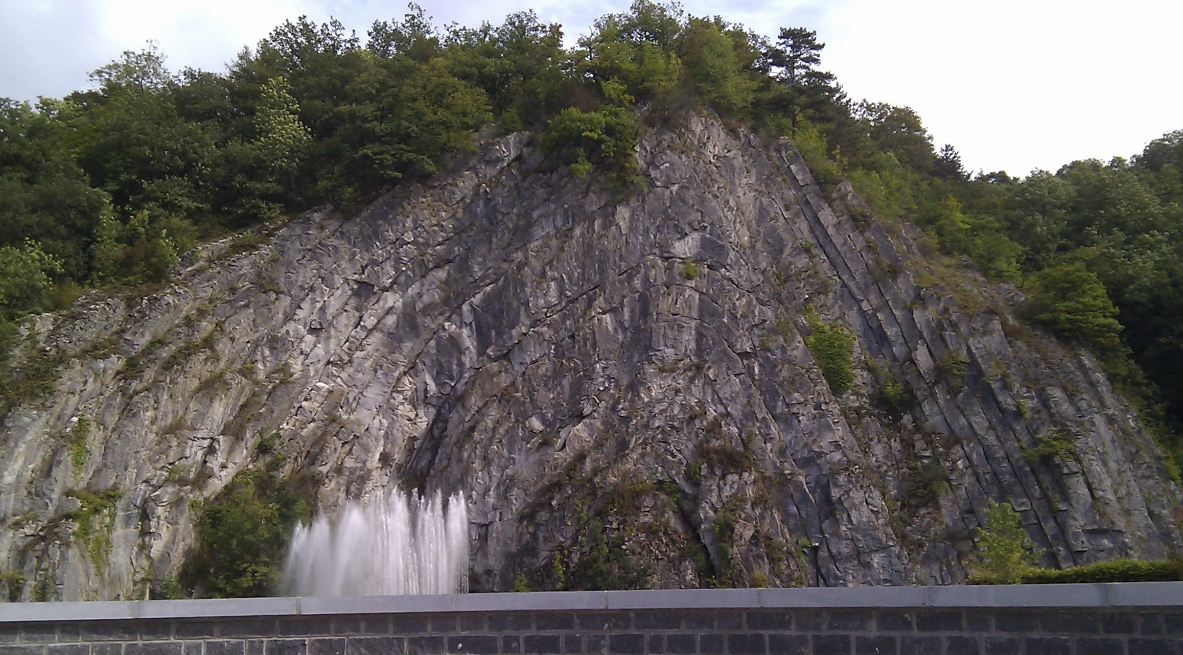 IMAG0737.jpg