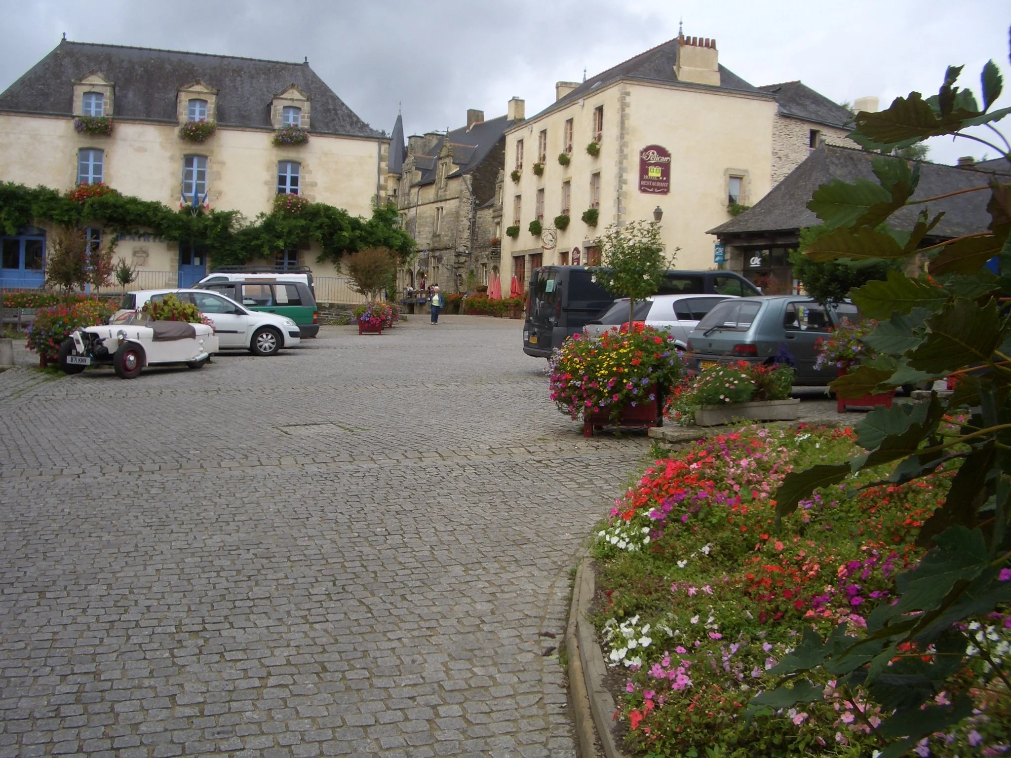 CIMG6348.JPG