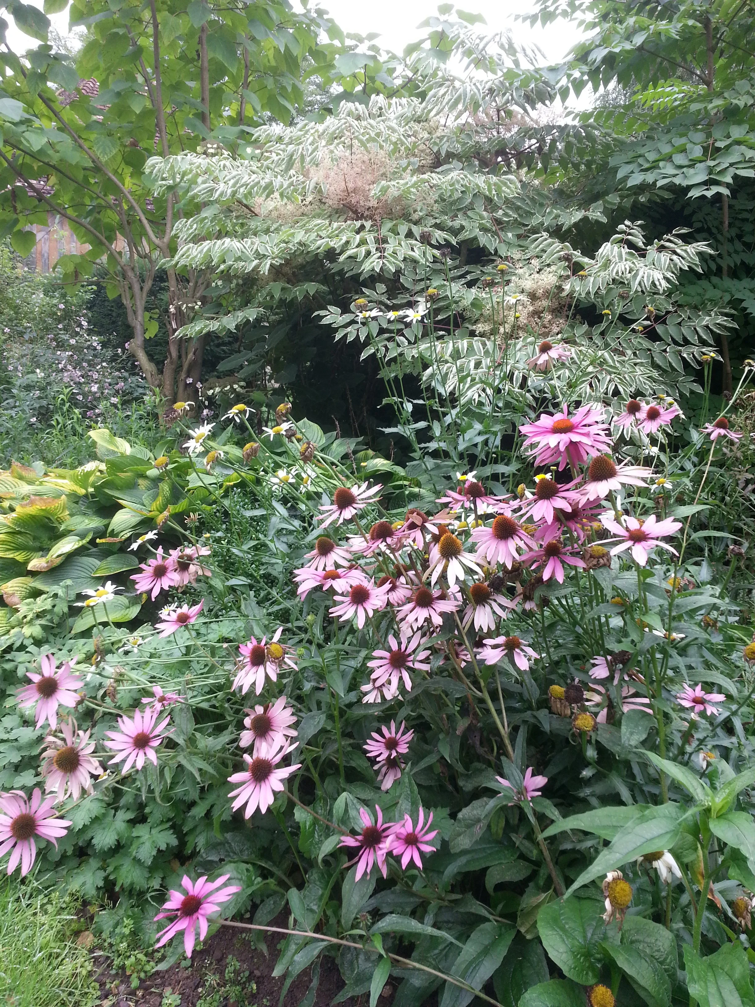 20160906_123306.jpg