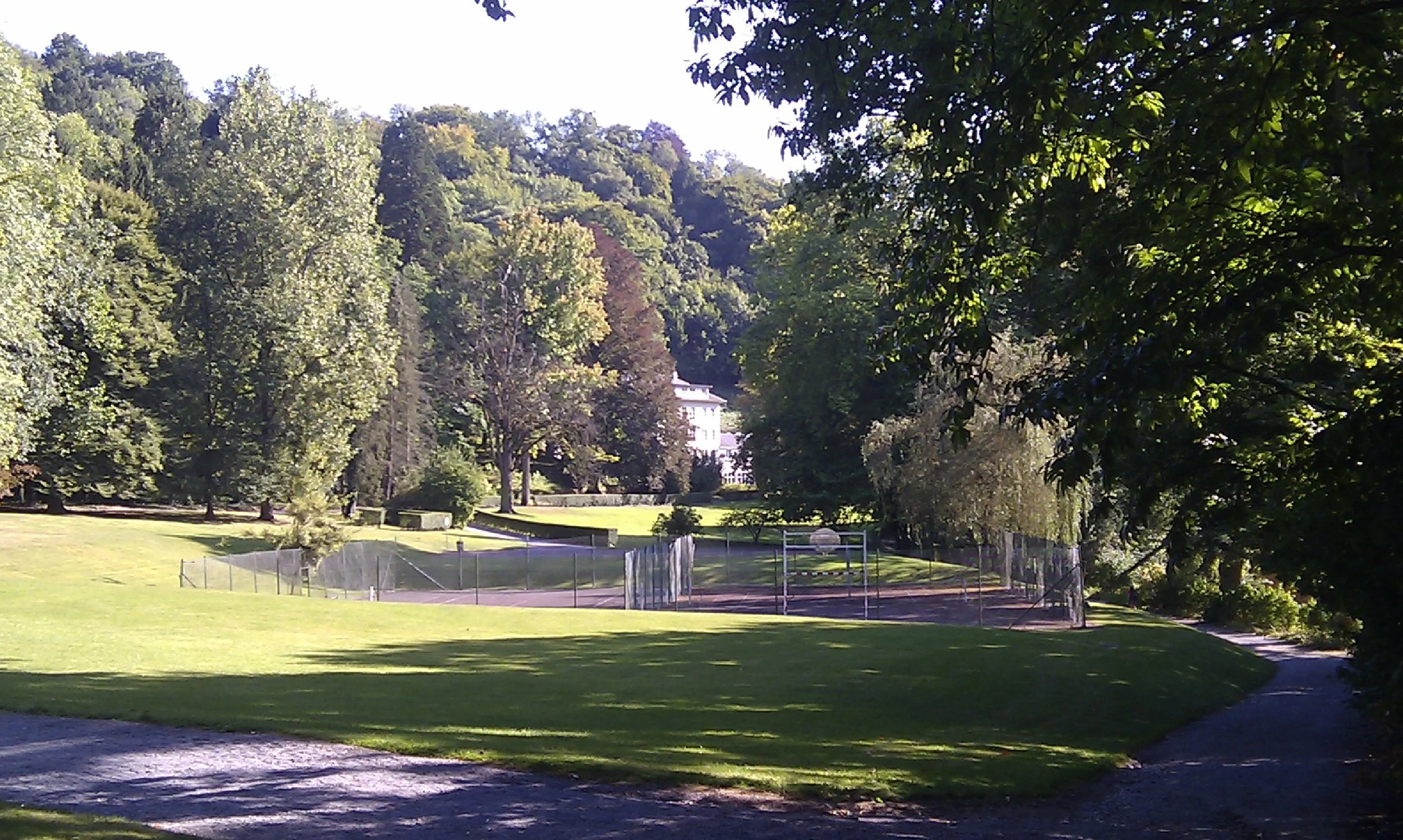 IMAG0733.jpg