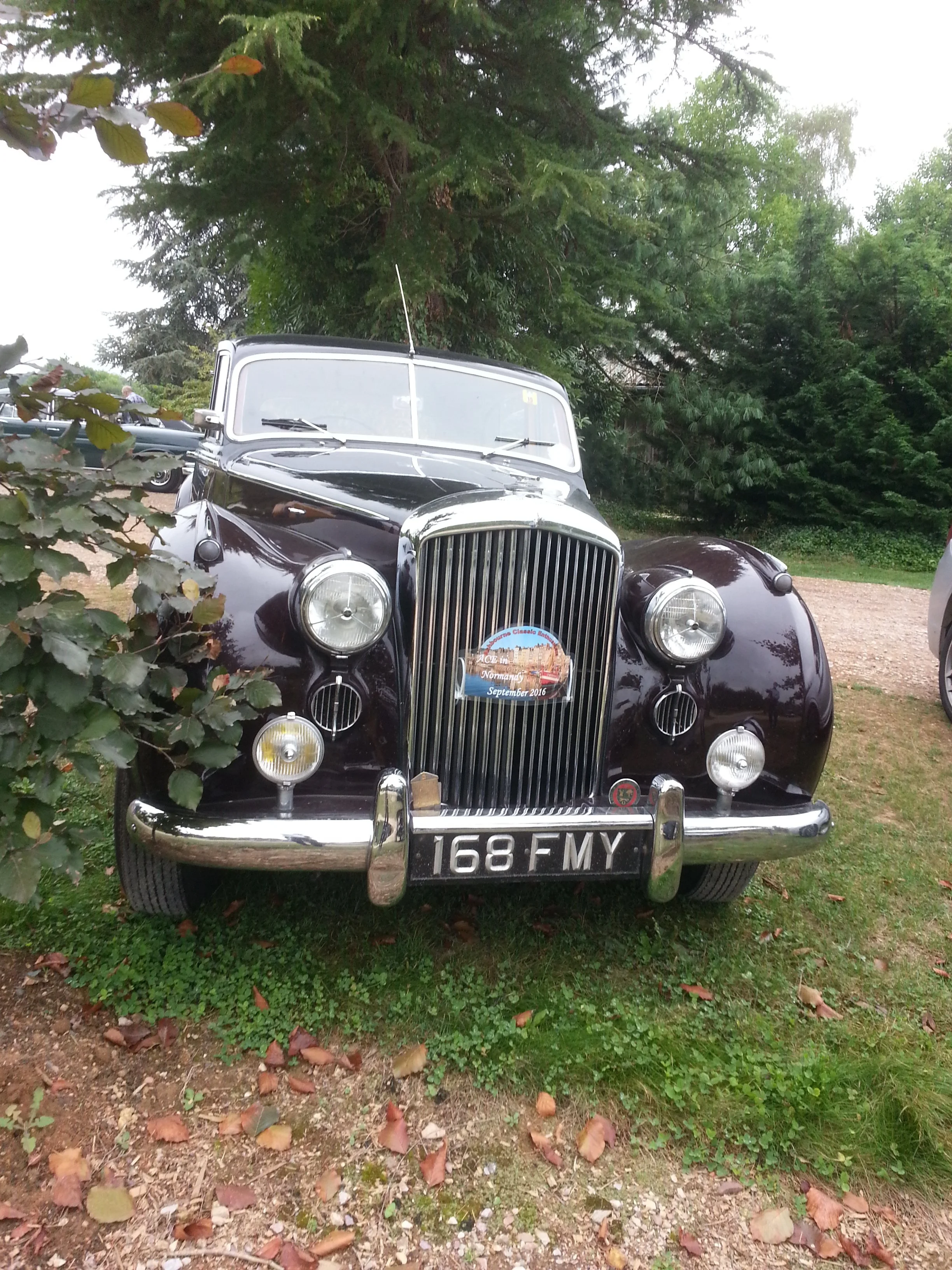 20160906_124123.jpg