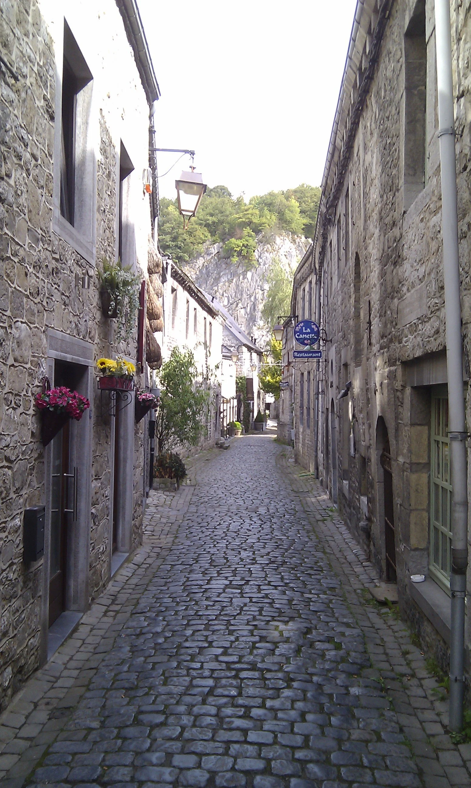 IMAG0735.jpg