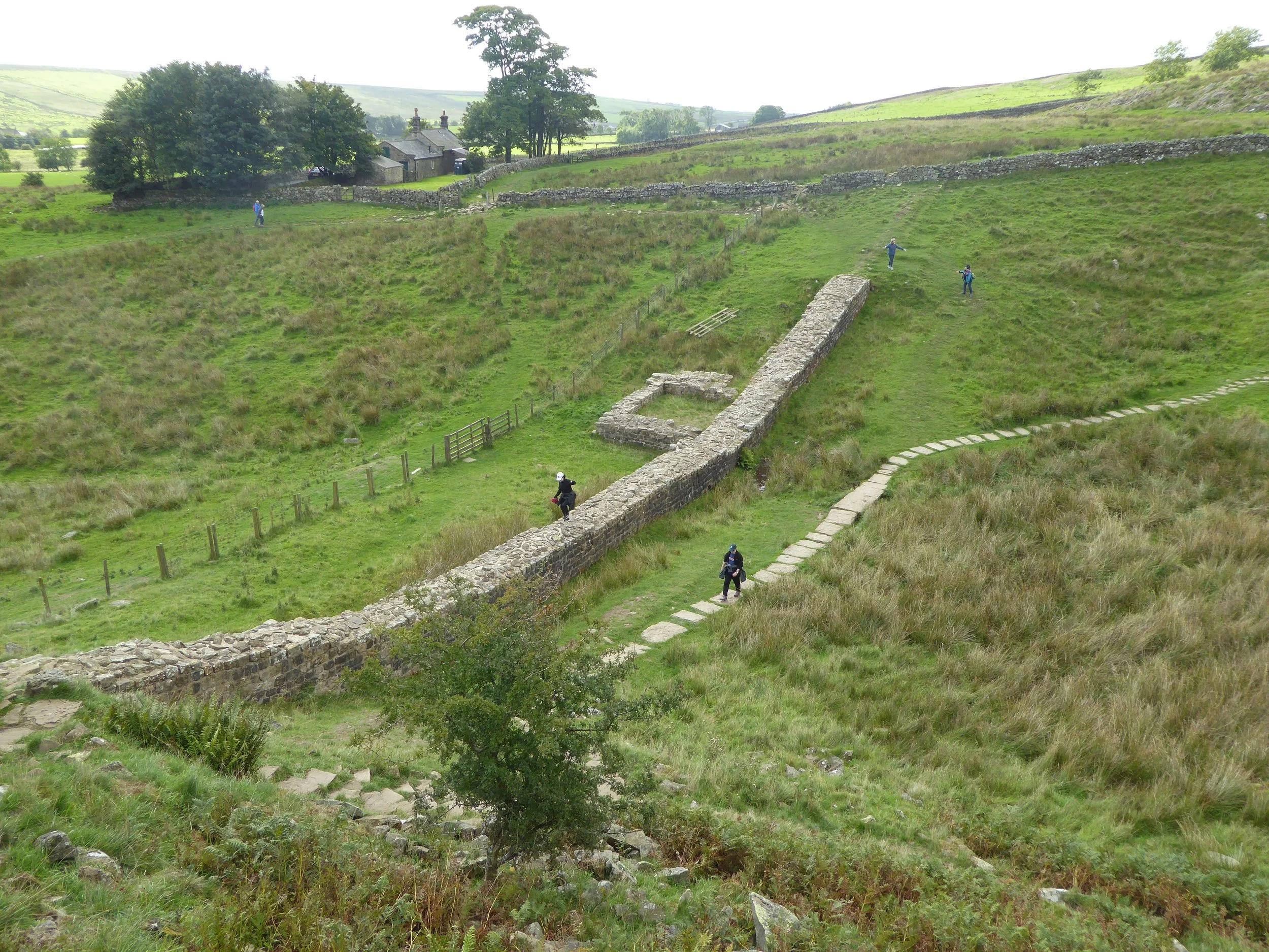 P1010442.JPG