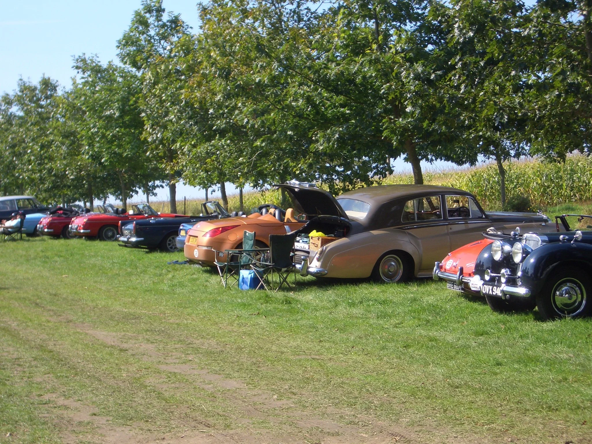 CIMG6450.JPG