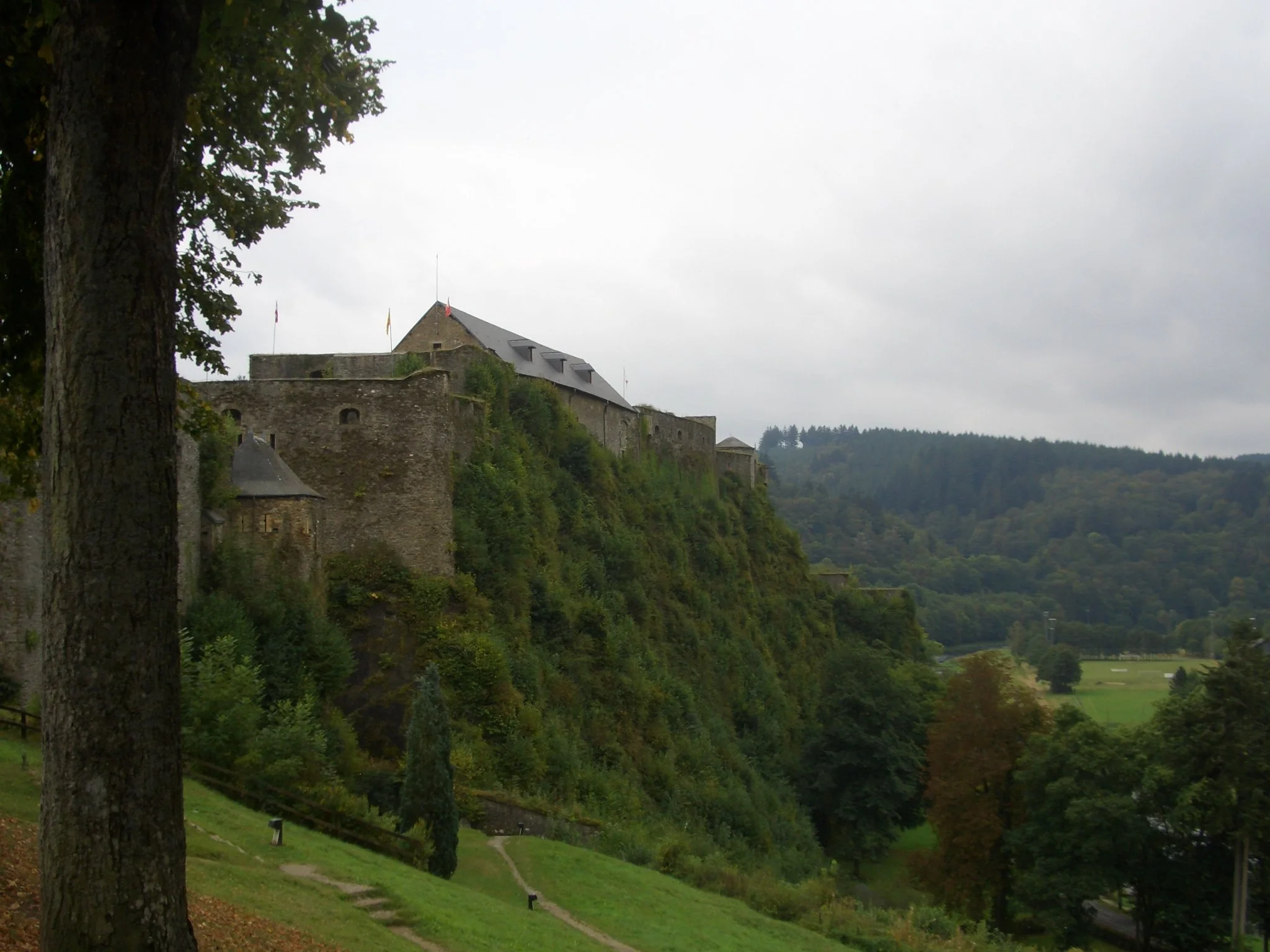 CIMG5296.JPG