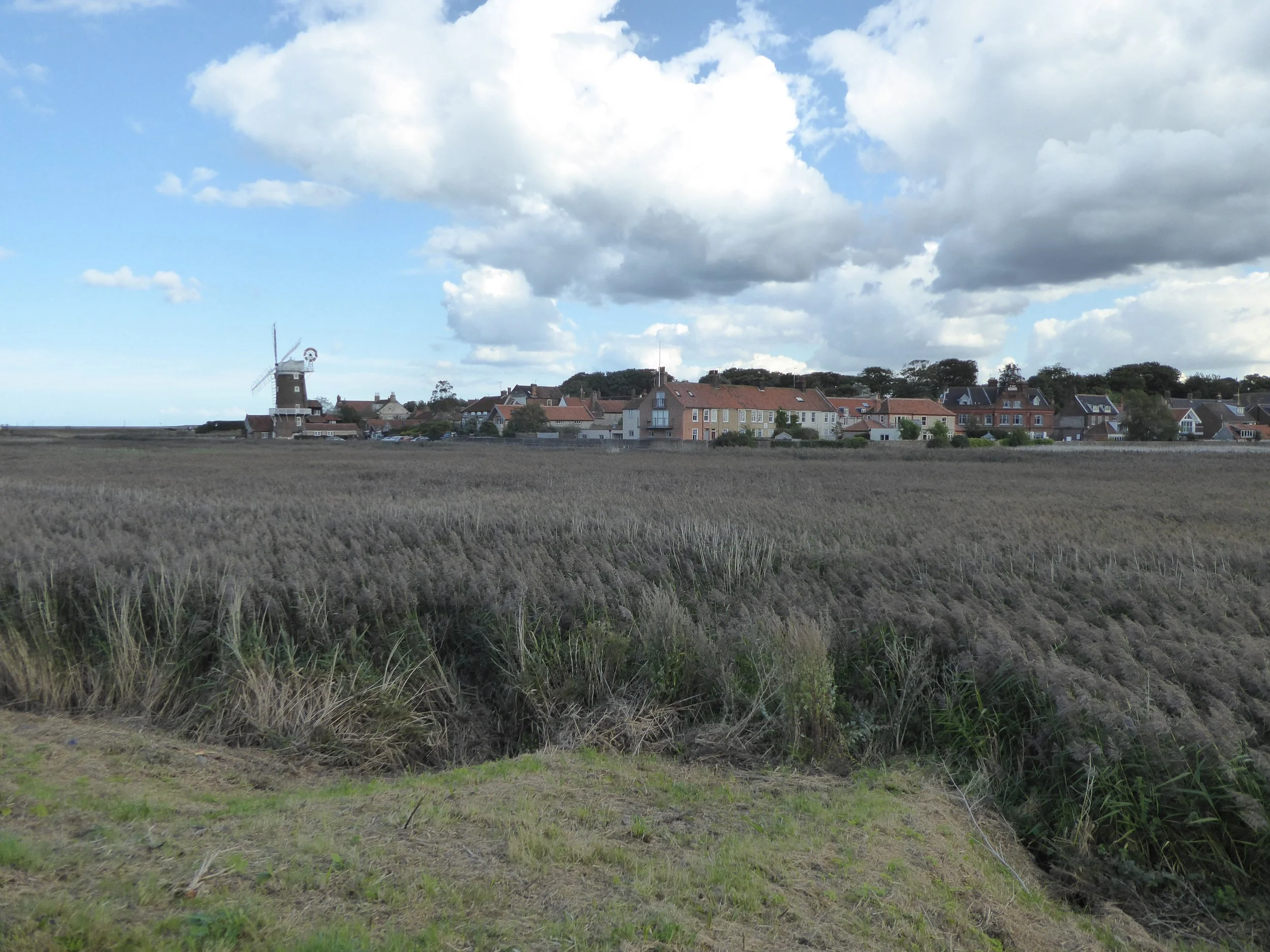 P1000600.JPG