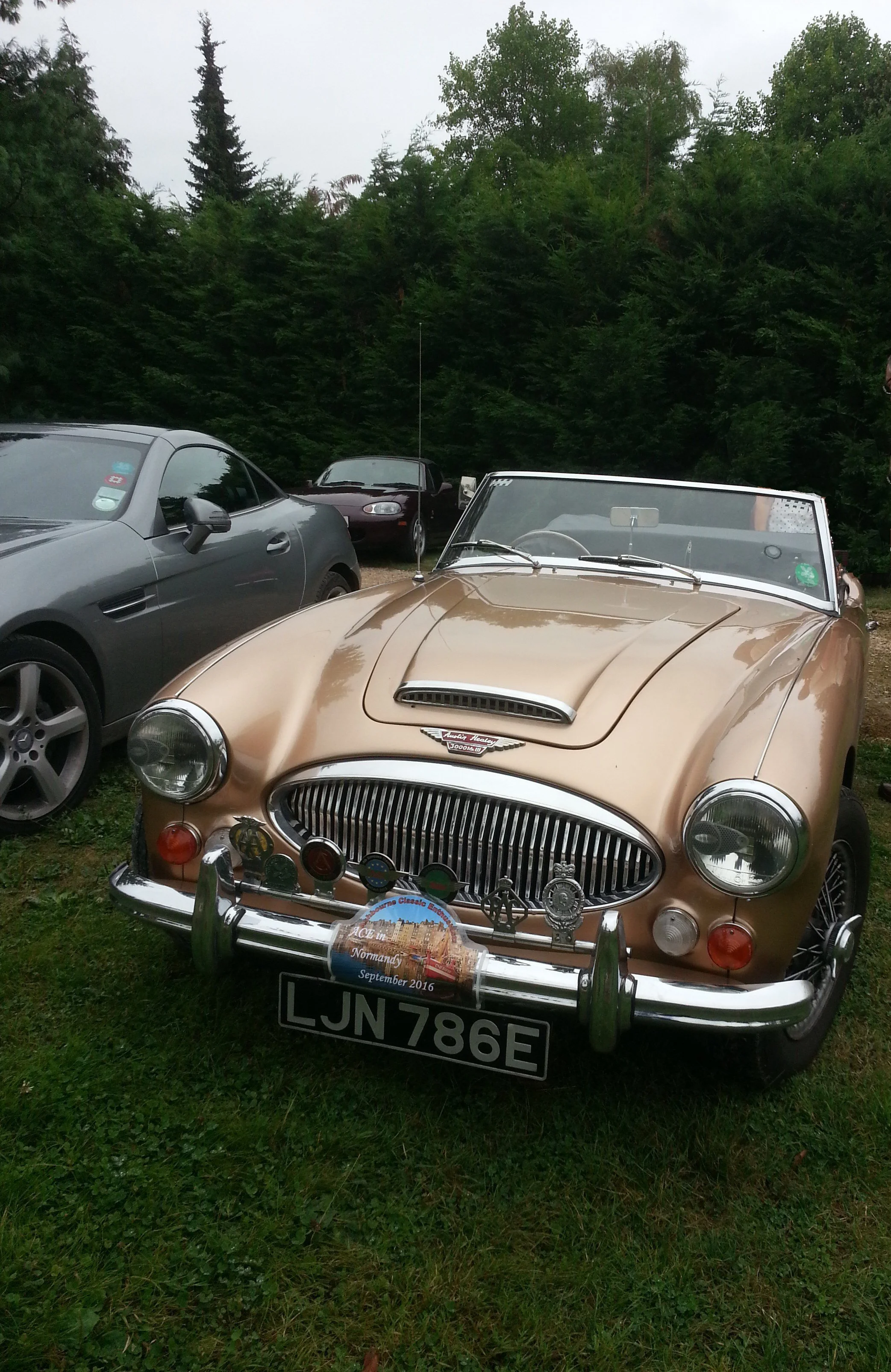 20160906_123950.jpg