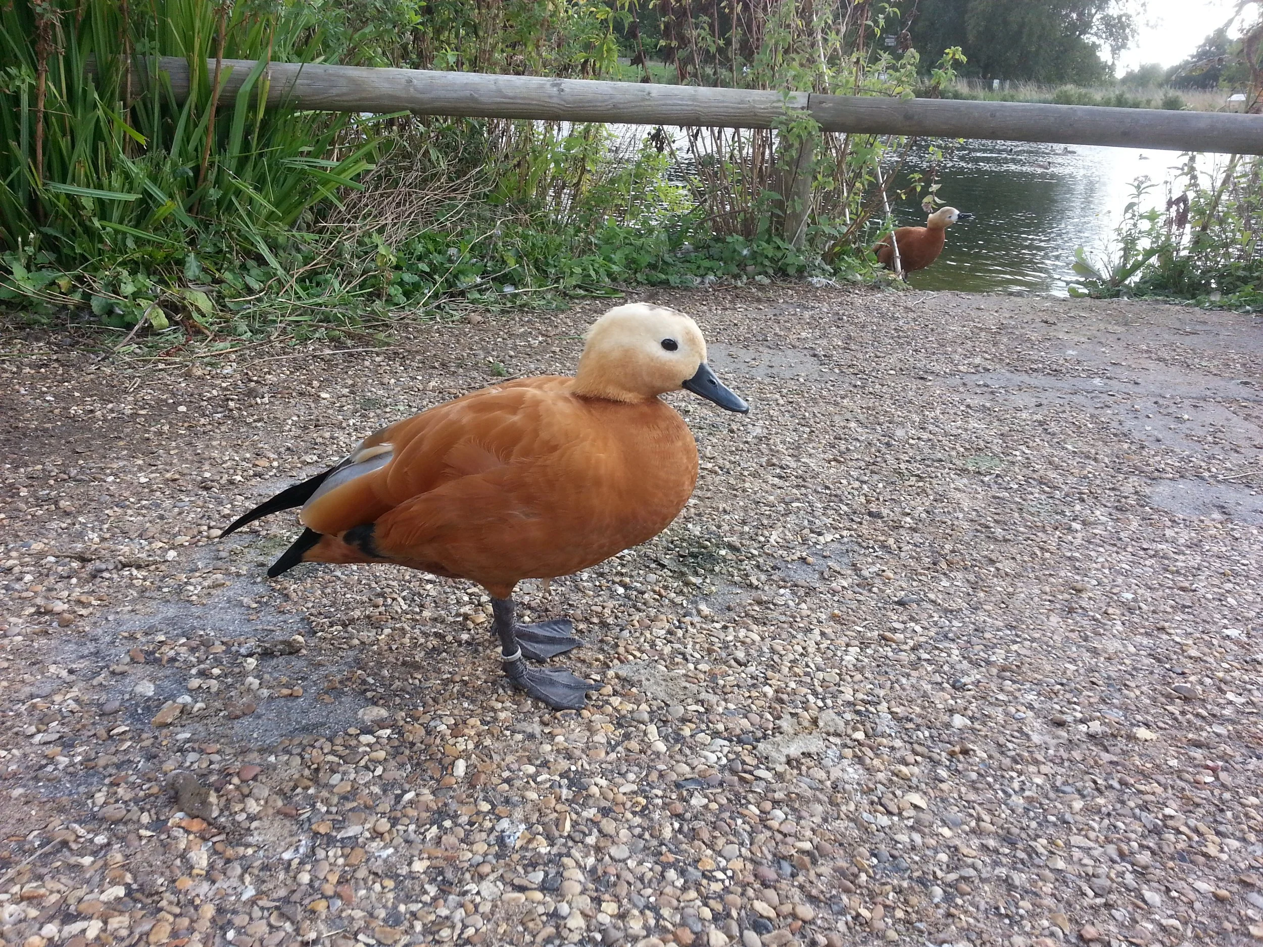 20170912_124313.jpg
