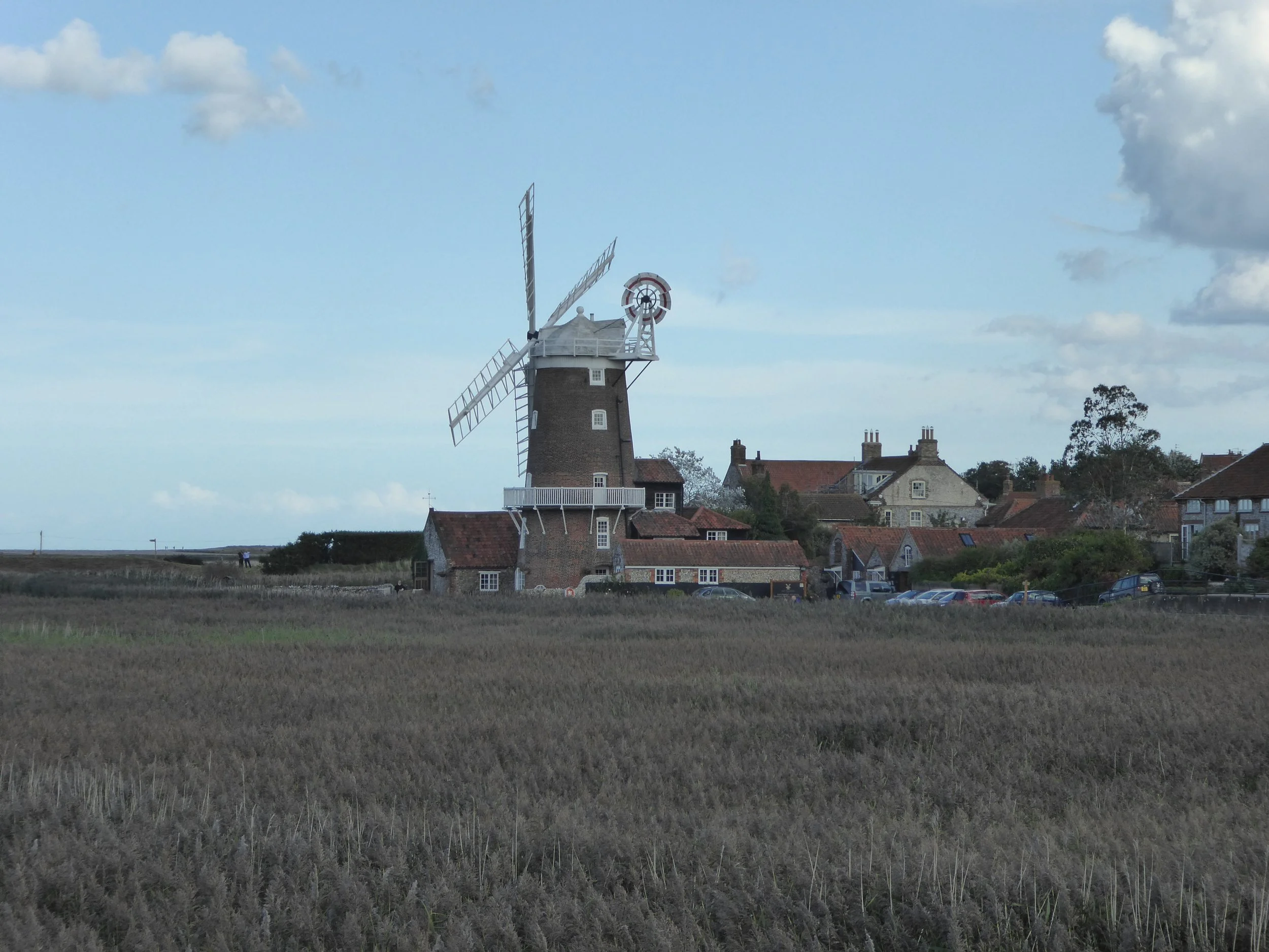 P1000601 - Copy.JPG