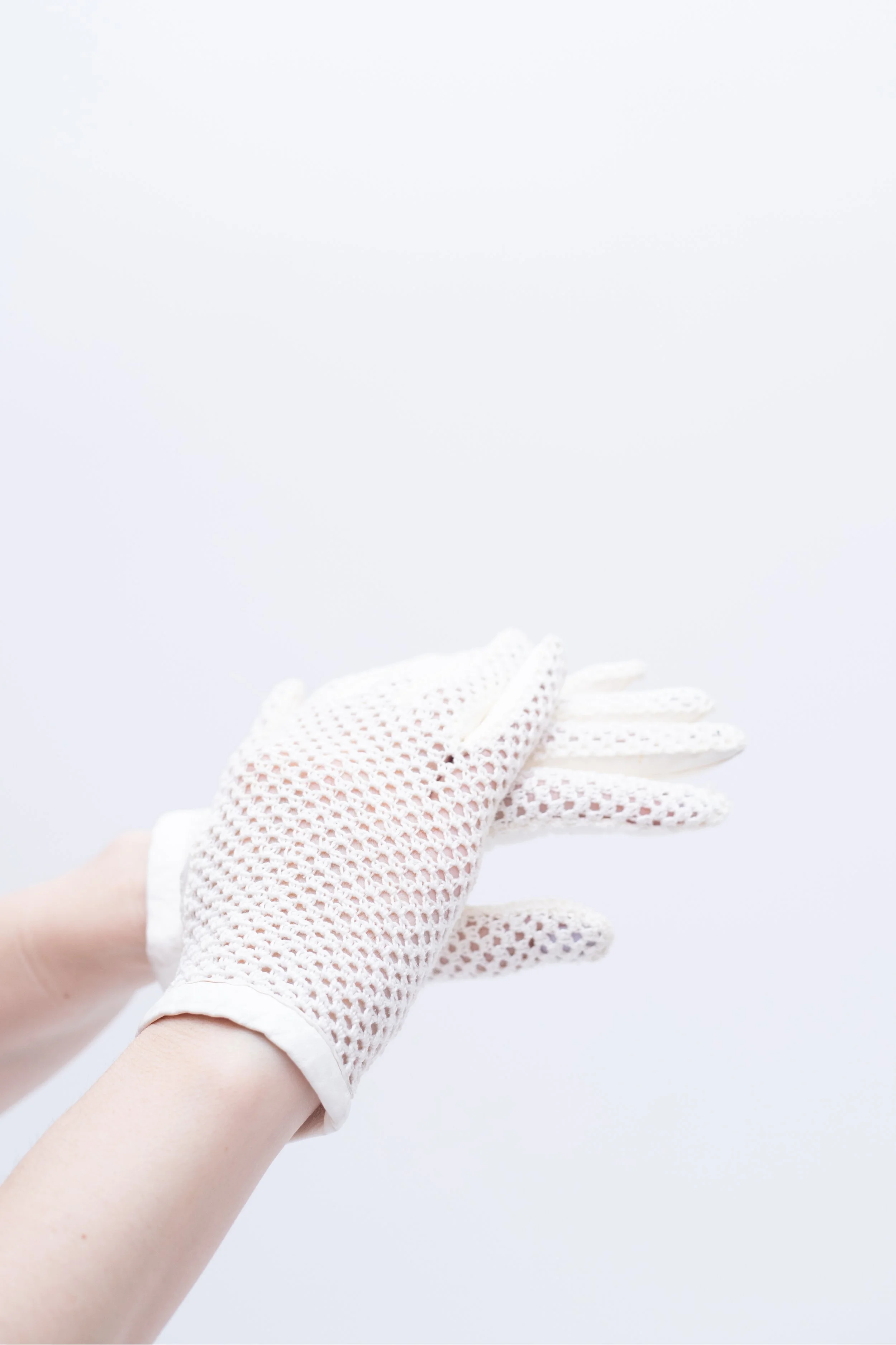 Parisian Elegance Vintage Leather Mesh Gloves