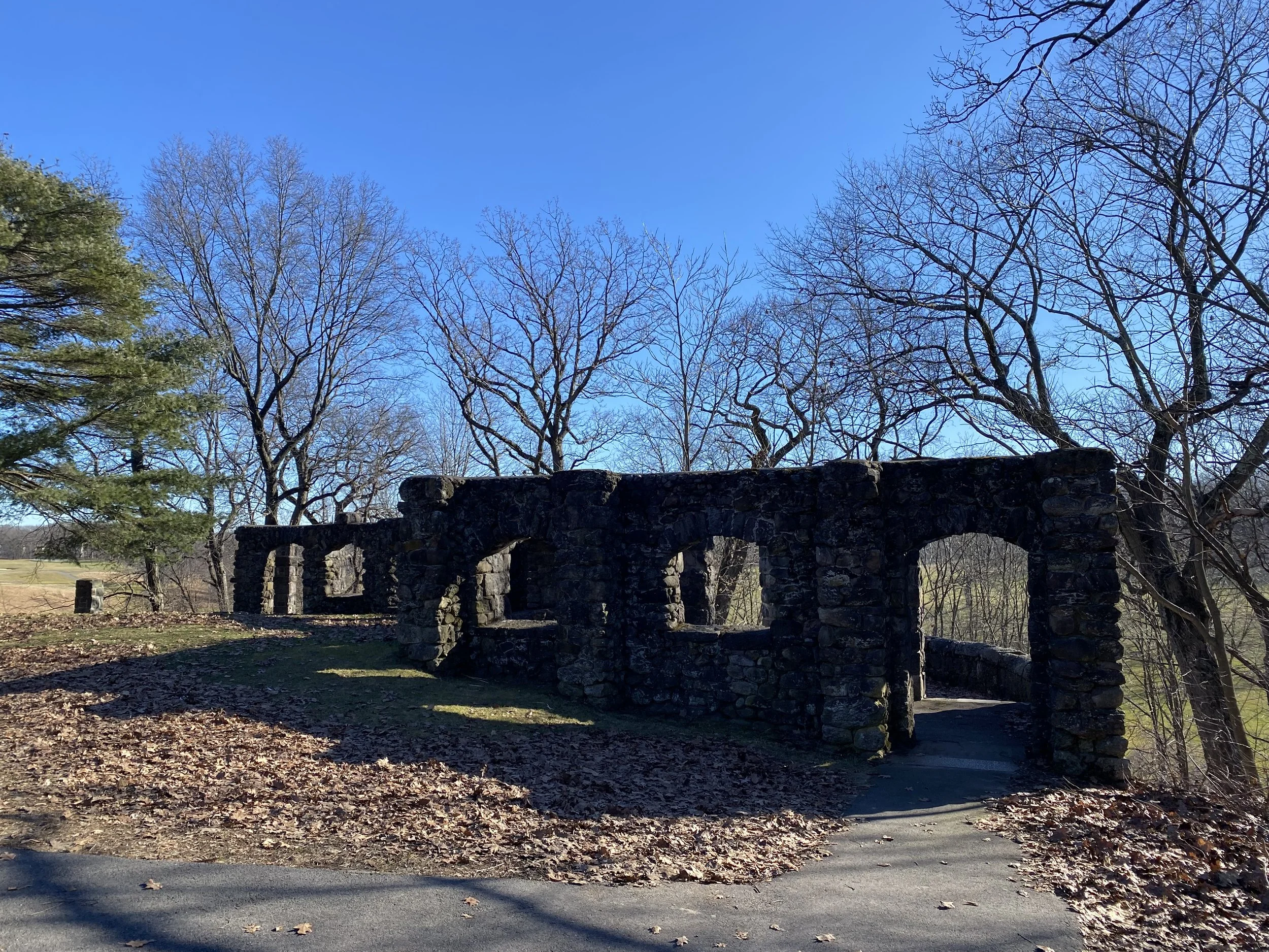 USA 250 Urban Naturalist Walk—What was Boston's Biodiversity like 250 years ago?