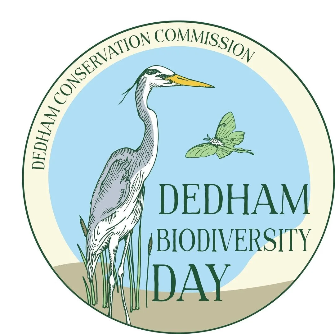 Dedham Biodiversity Day