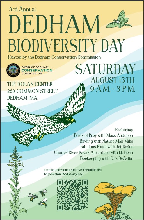 Dedham Biodiversity Day