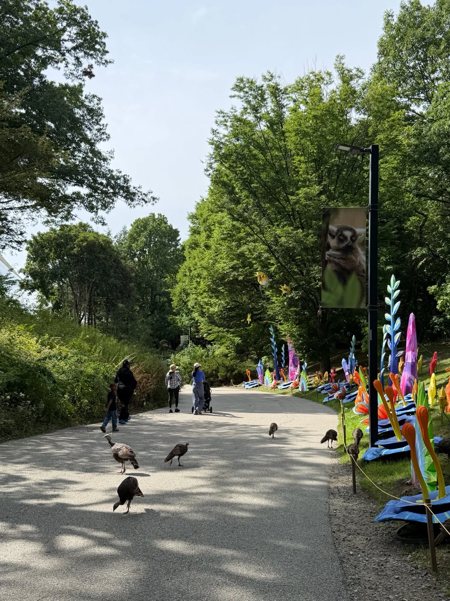 Urban Nature Walk 