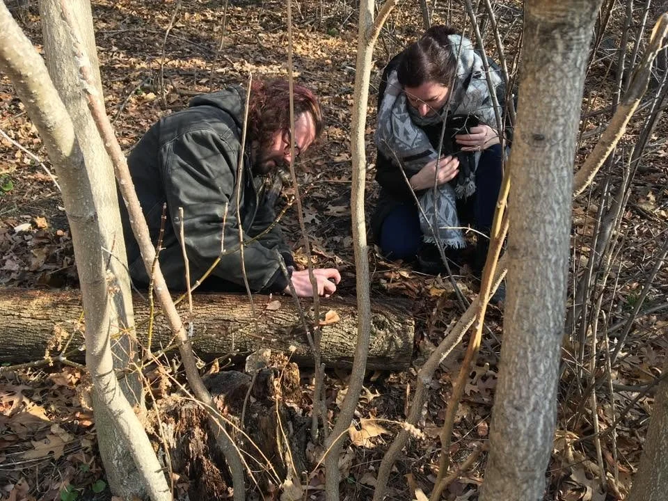 Urban Nature Walk