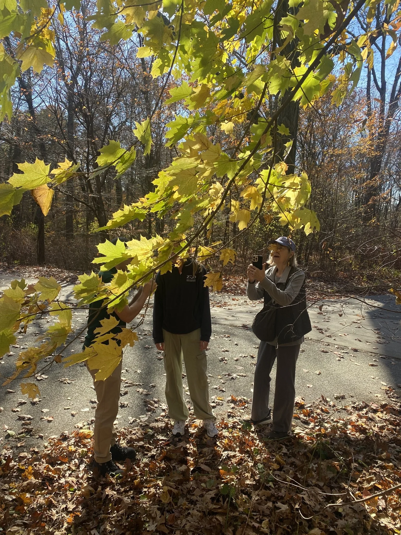 Franklin Park Biodiversity Walk