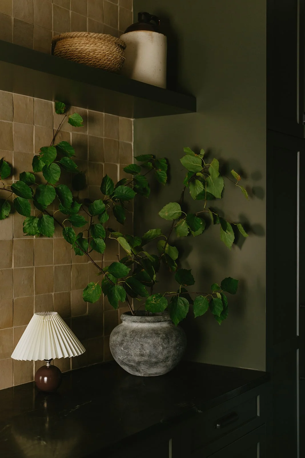 A potted green leafy plant, a small table lamp, a tiled wall, and shelves with baskets and jars in a dimly lit kitchen or living space.