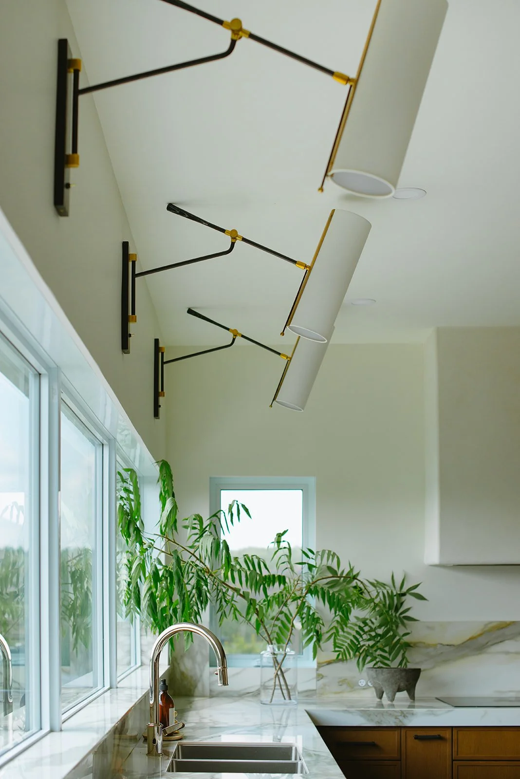 Modern kitchen with a marble countertop, large green plant, and a window.