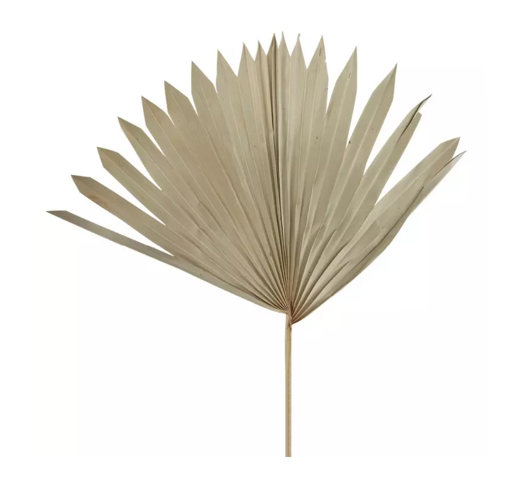 Palm Leaves.png