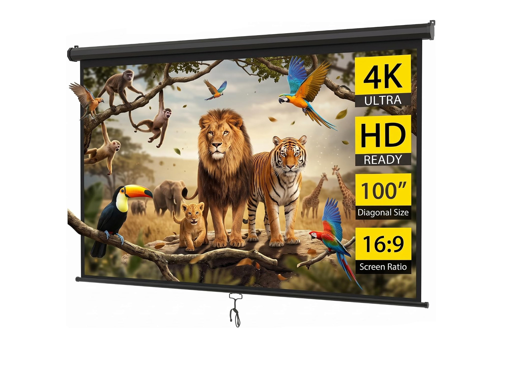 Projector Screen