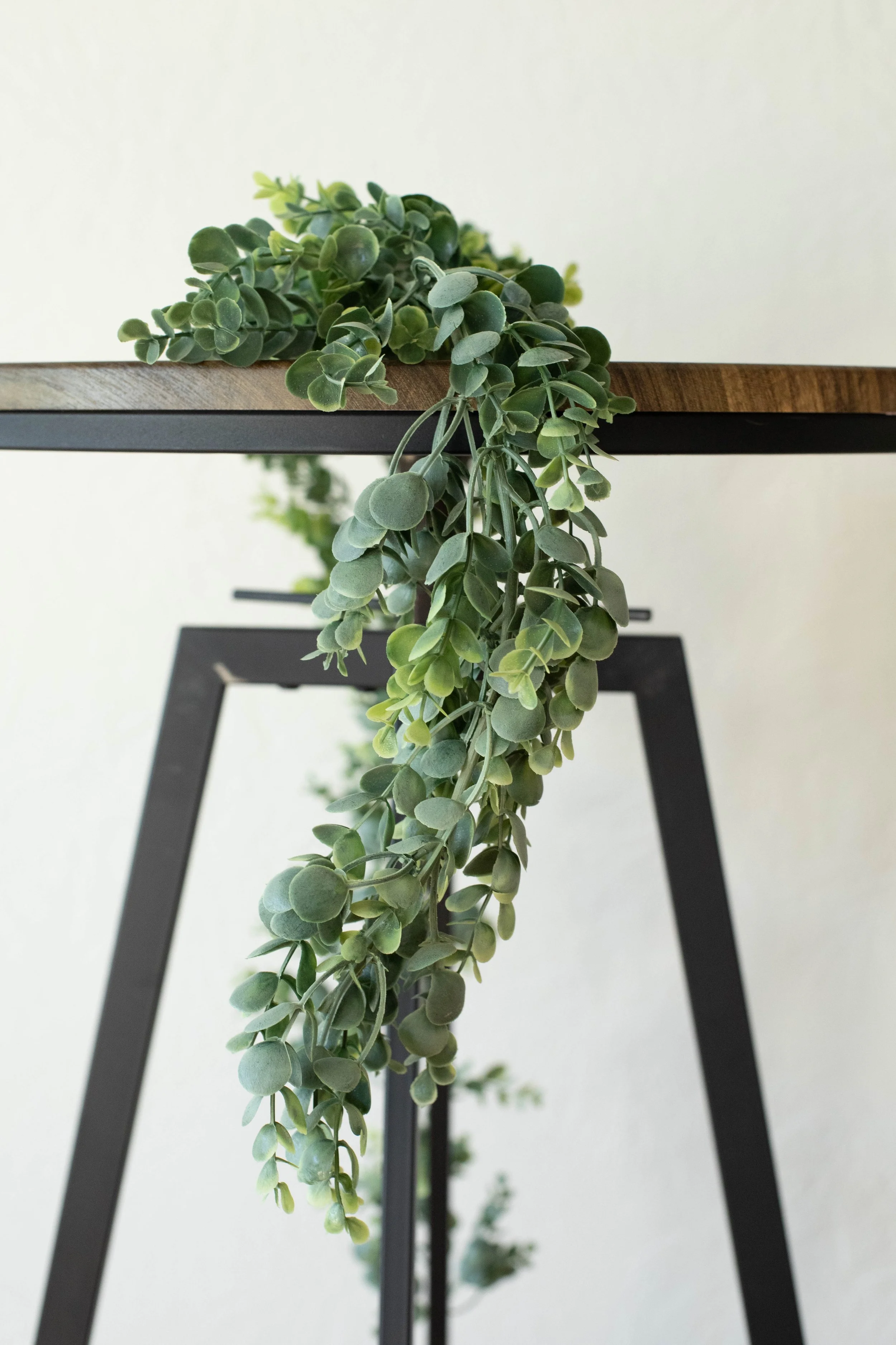 Eucalyptus Greenery