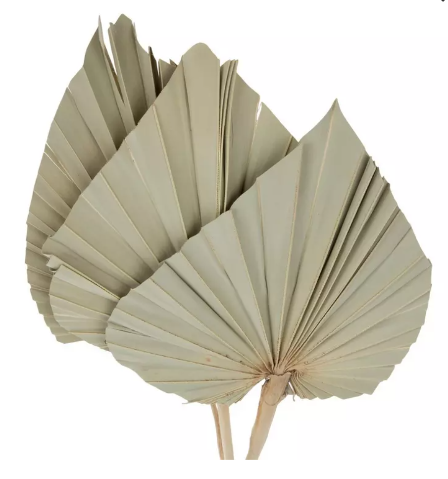 Dried palm leaves.png