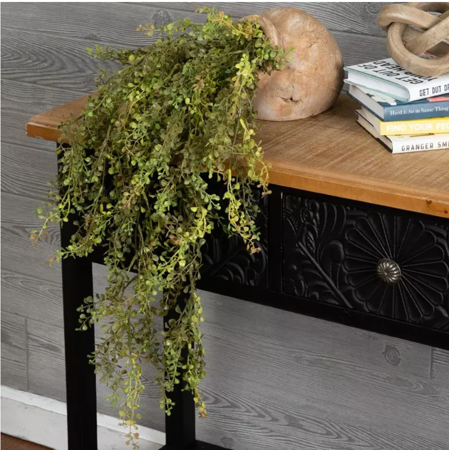 Baby Tears Hanging Greenery