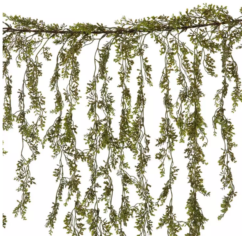 Jasmine Leaf.png
