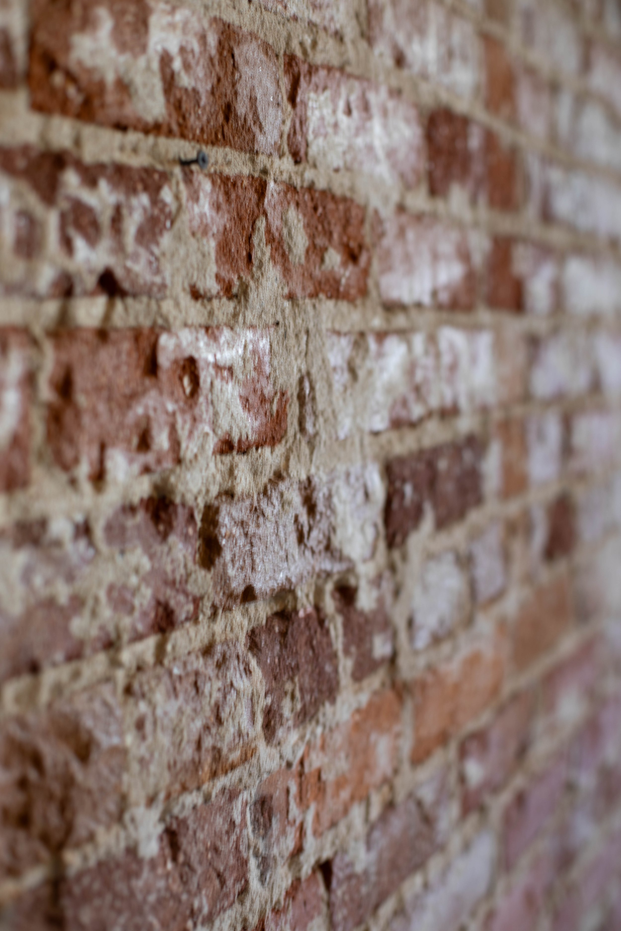 Close-up of a brick wall showing red bricks and mortar.