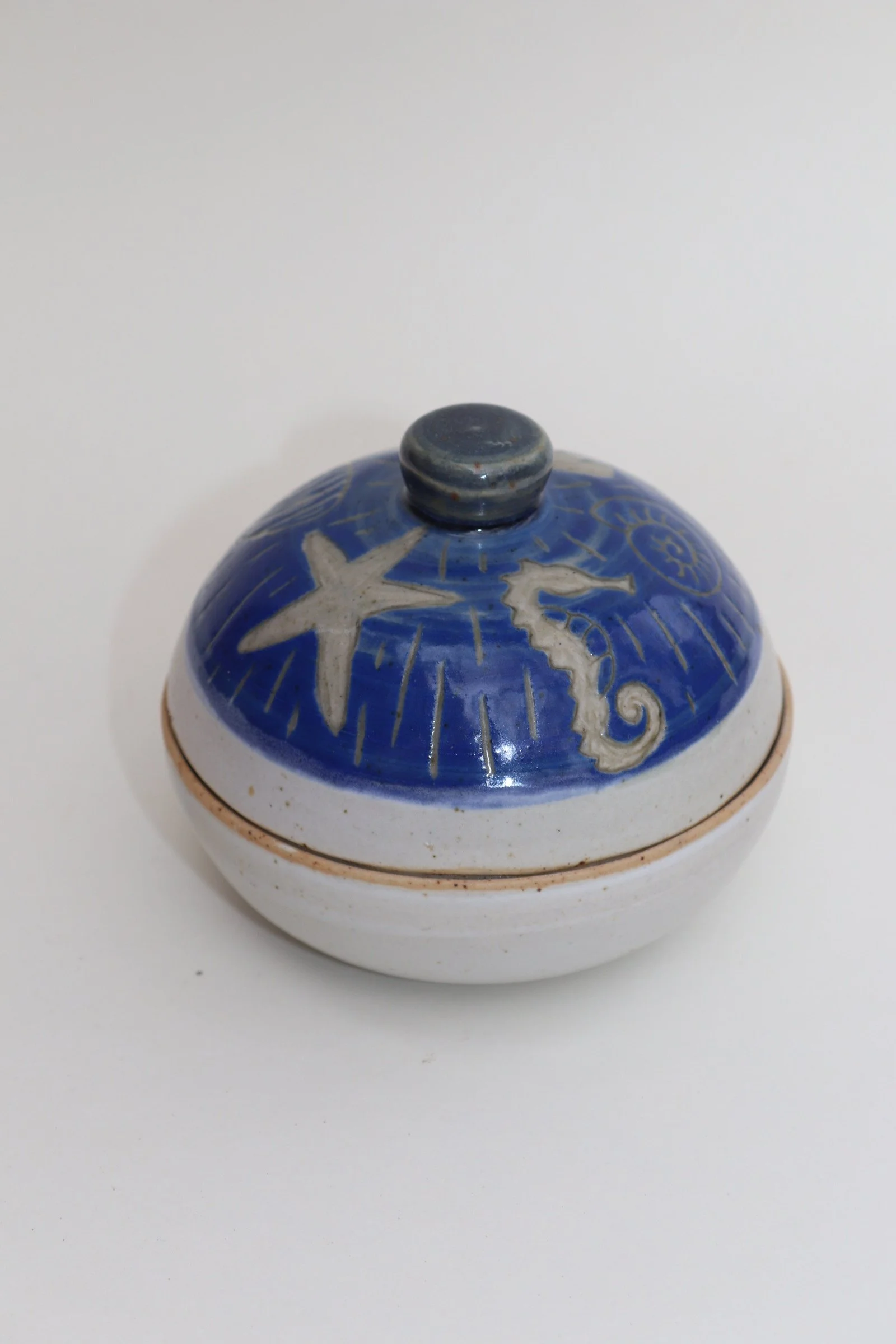 Ocean Life Jar
