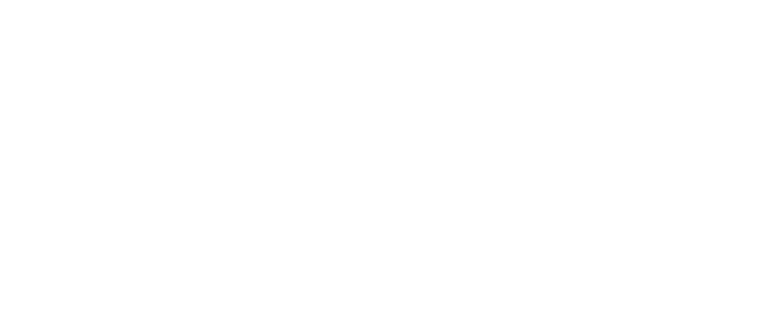 Silverline Incorporated